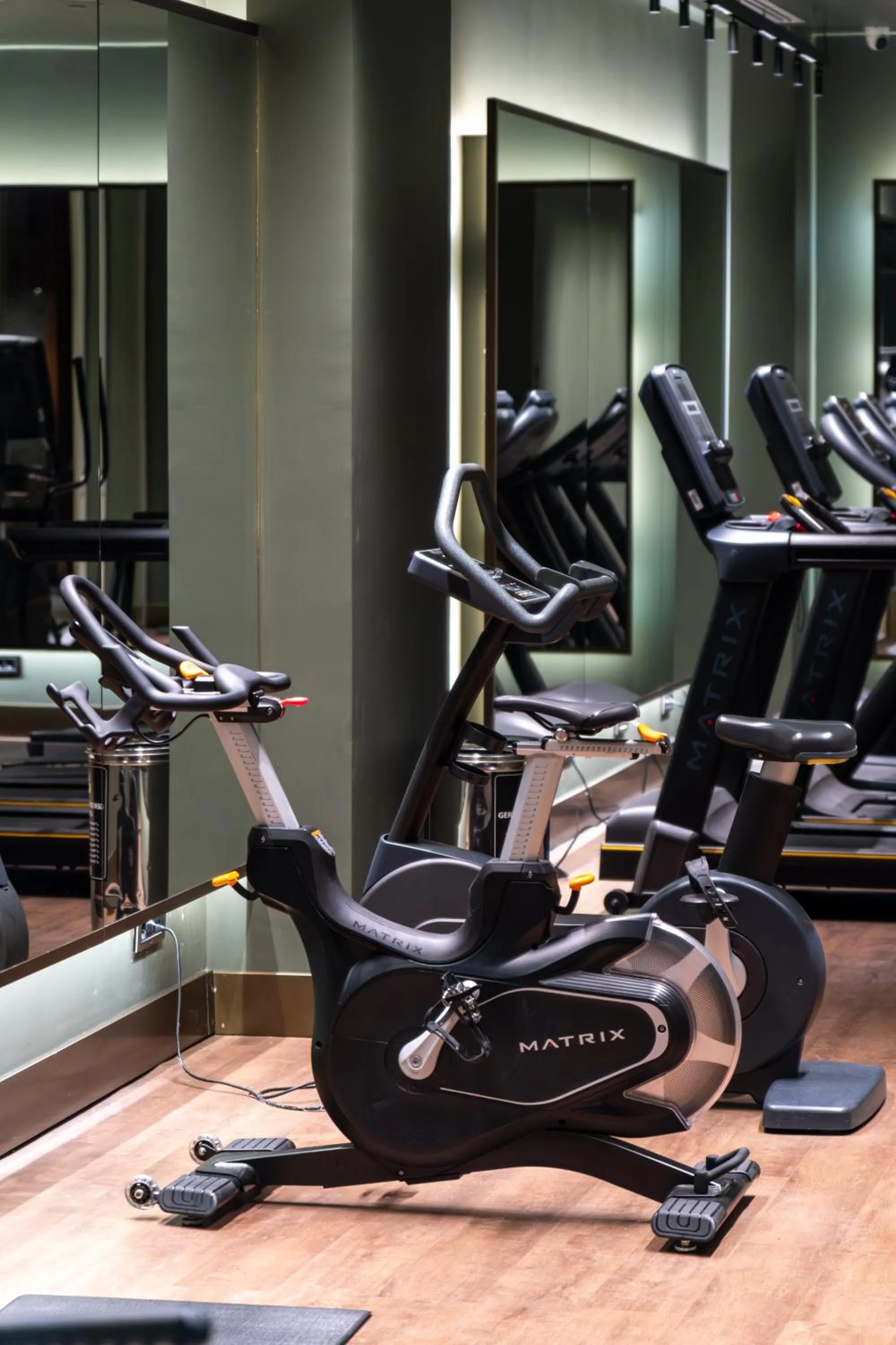 Fitness centre/facilities in Delta Hotels by Marriott Istanbul Levent