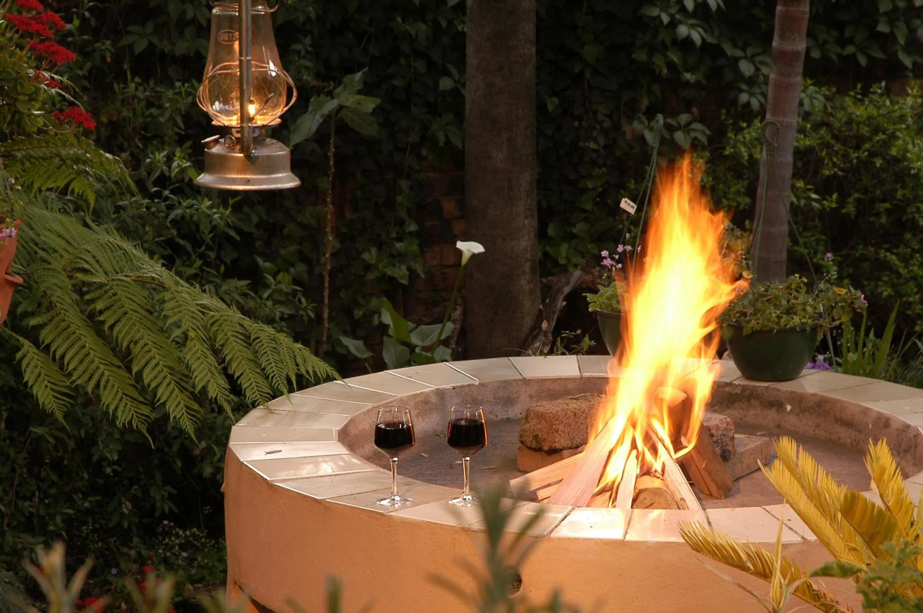 Area and facilities in Elonda B&B