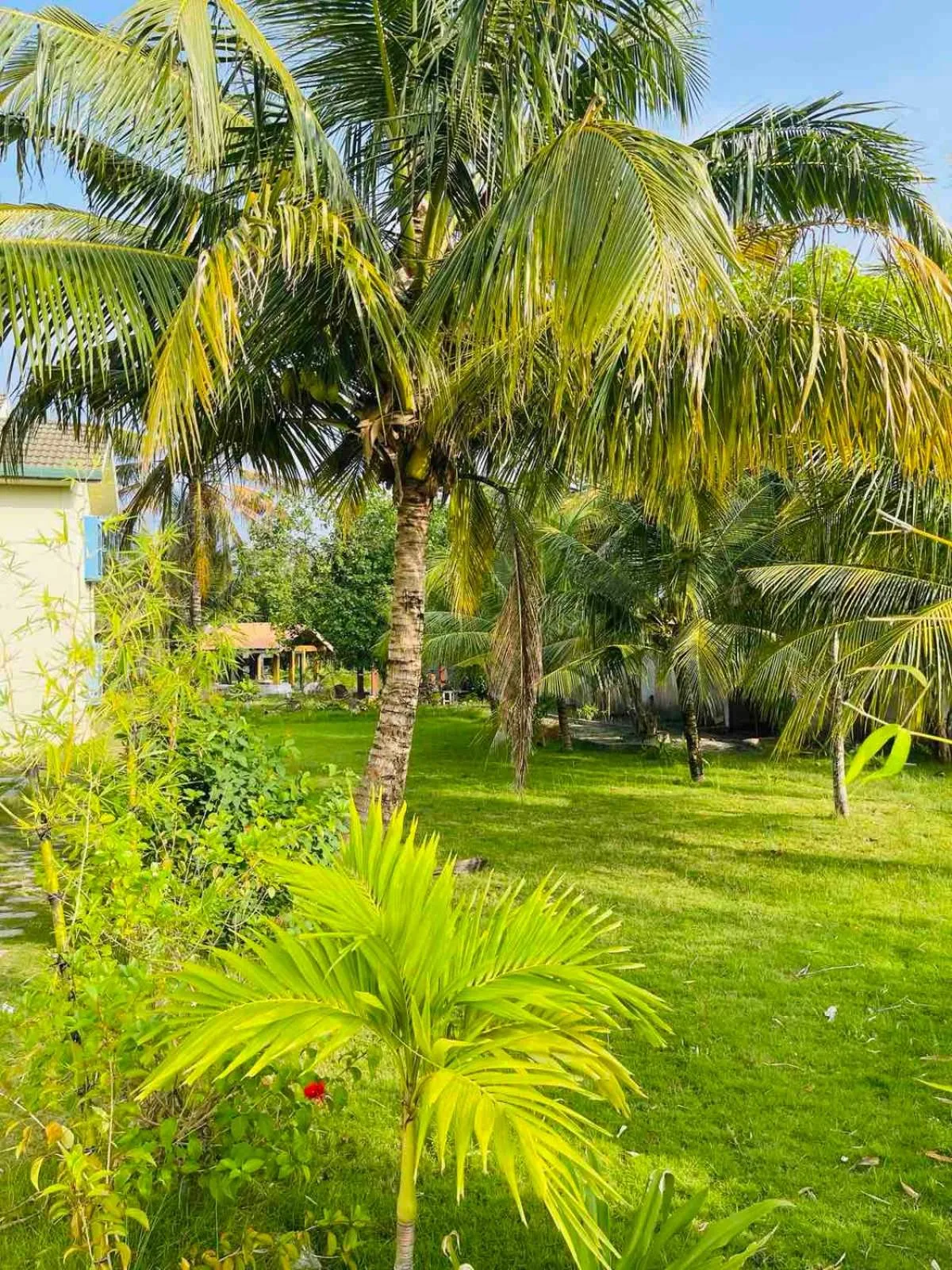 Garden in Long Beach Laamu Hotel