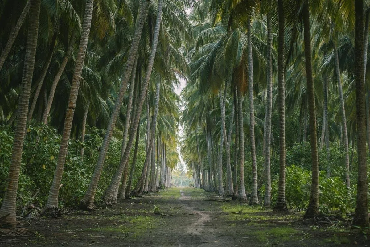 Natural landscape in Long Beach Laamu Hotel