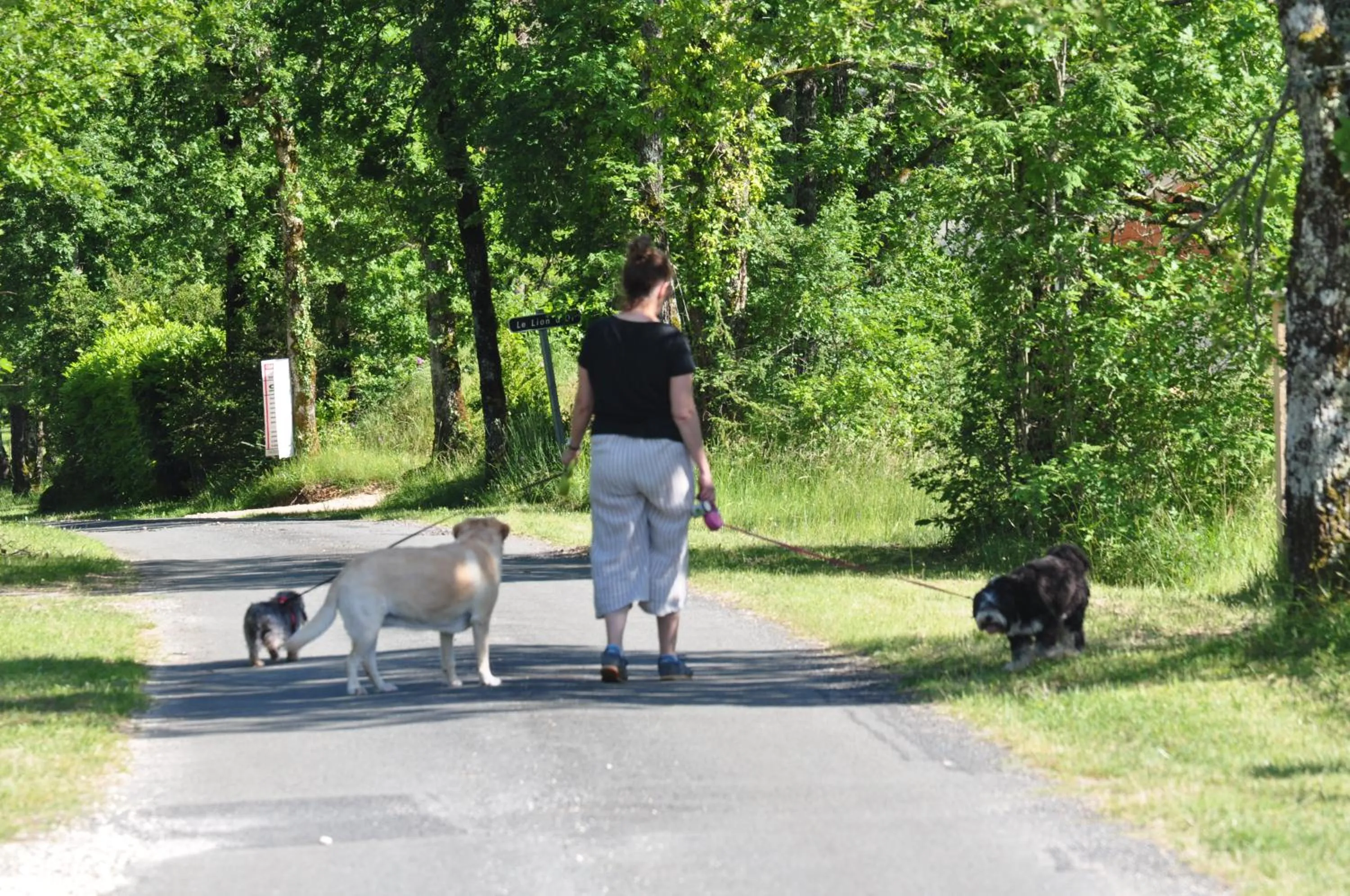 Day in Le Lion D'Or en PERIGORD