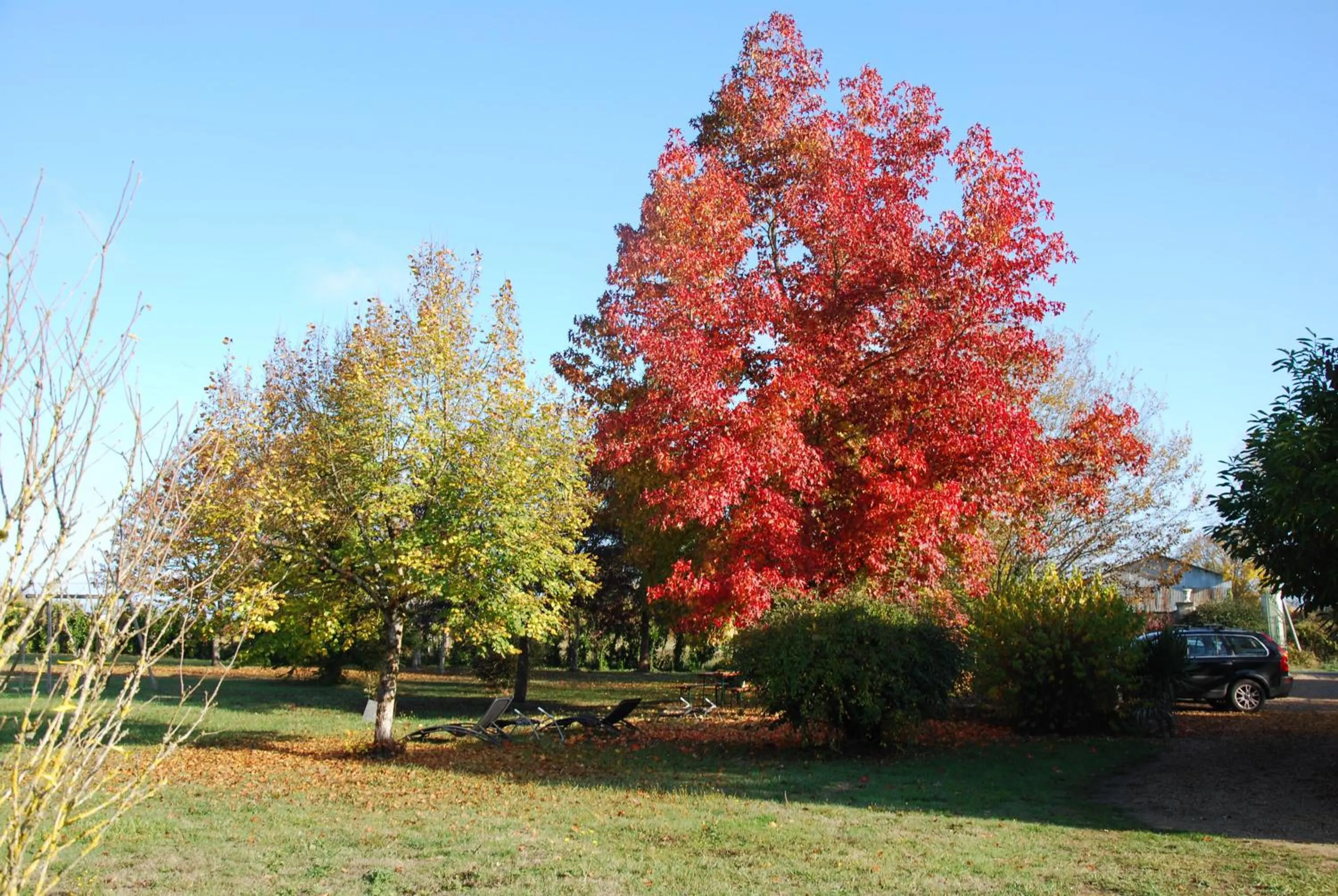 Breakfast in La Marelle