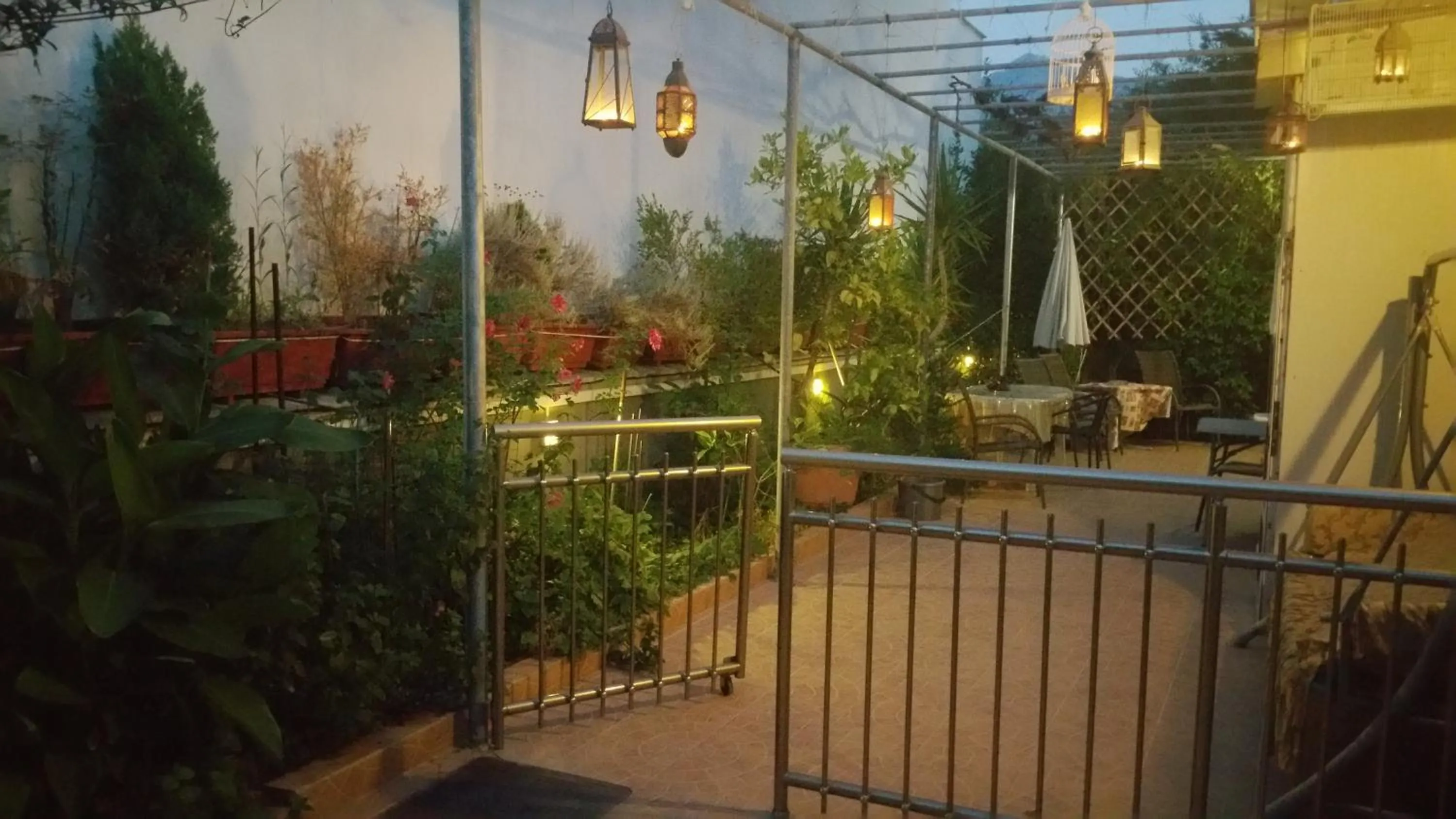 Garden in Villa Anna