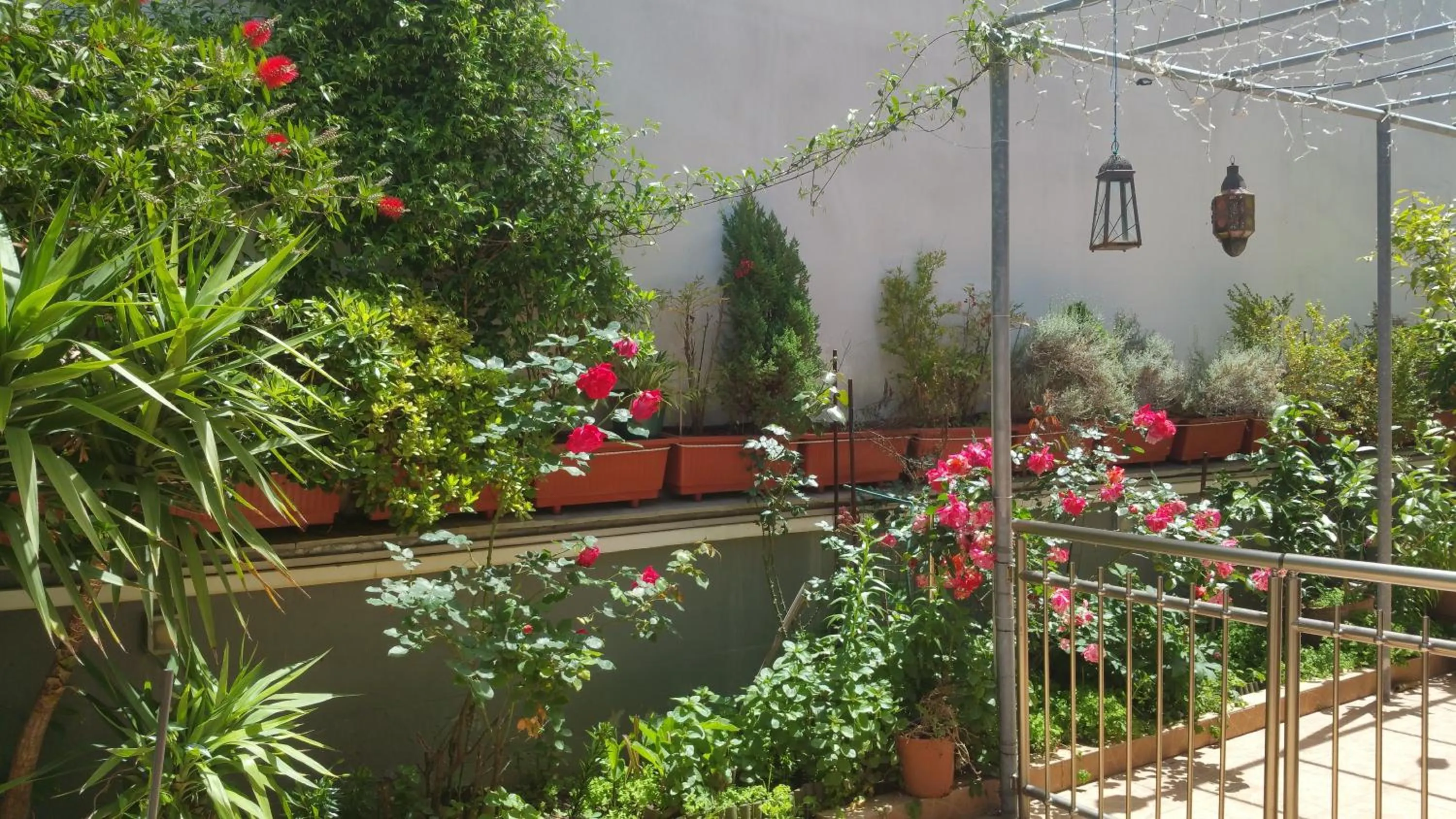 Garden in Villa Anna