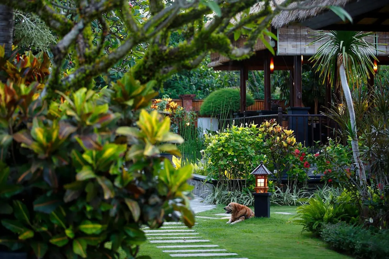 Garden in Villa L'Orange Bali