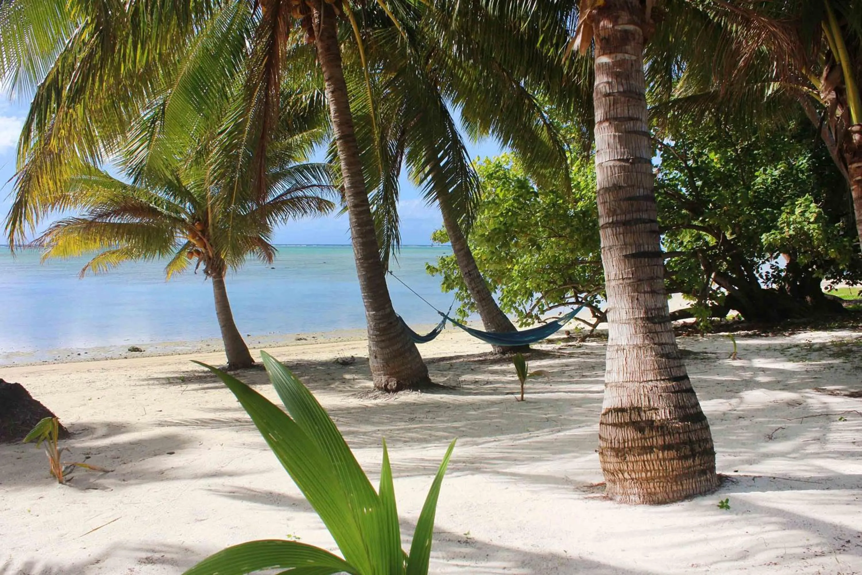 Beach in Paparei Beachfront Bungalows, Aitutaki