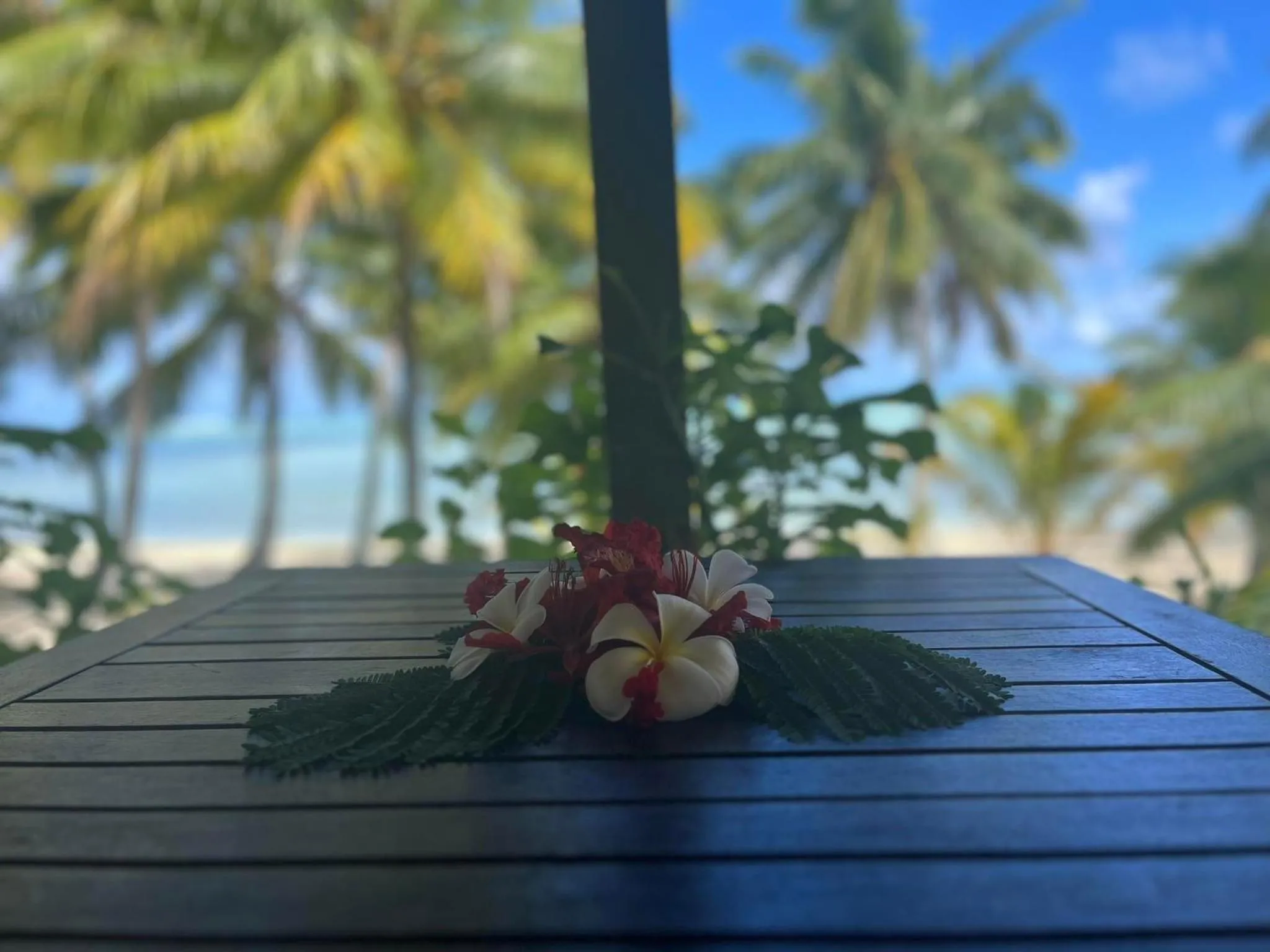 Patio in Paparei Beachfront Bungalows, Aitutaki