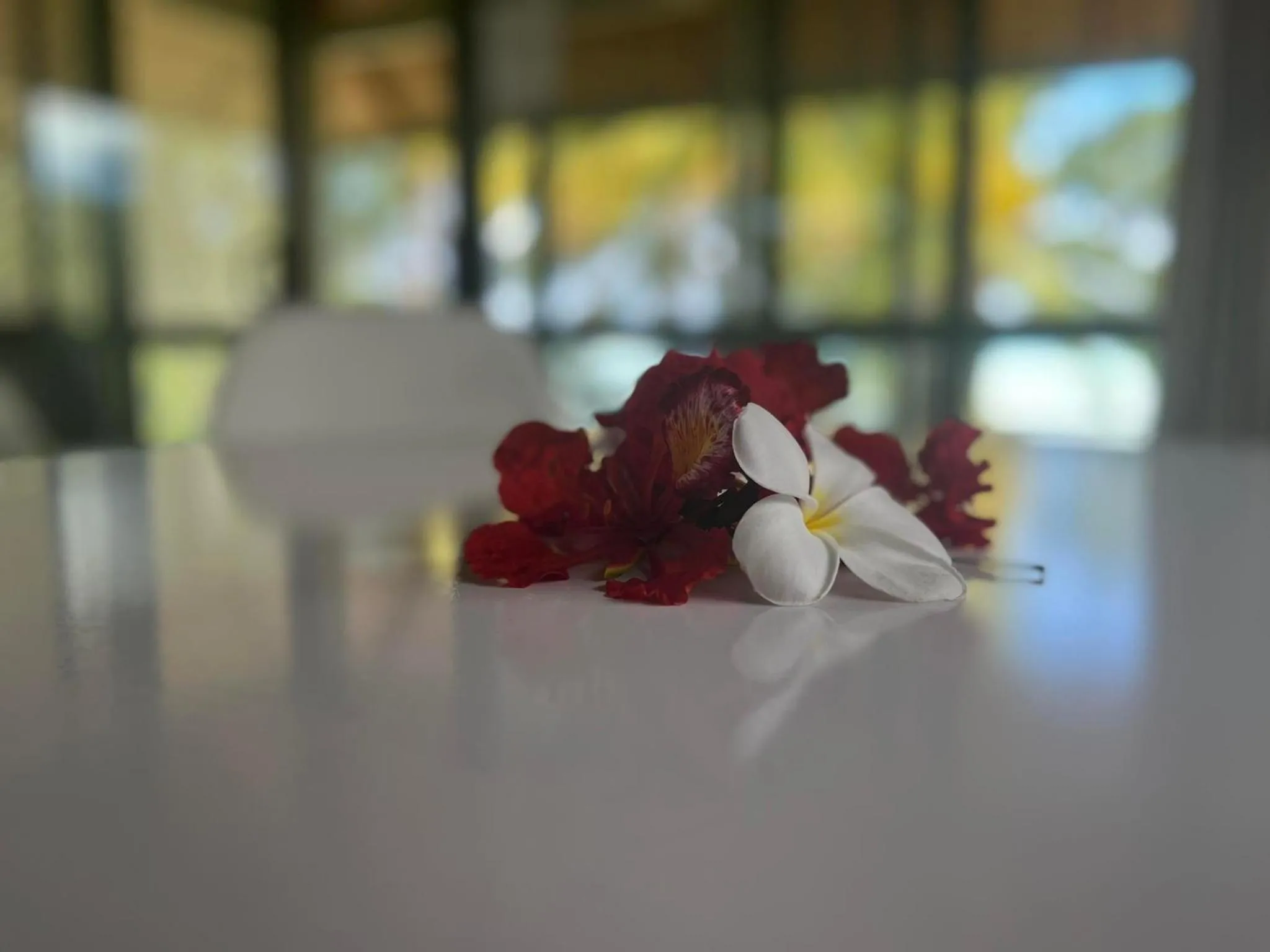 Dining area in Paparei Beachfront Bungalows, Aitutaki