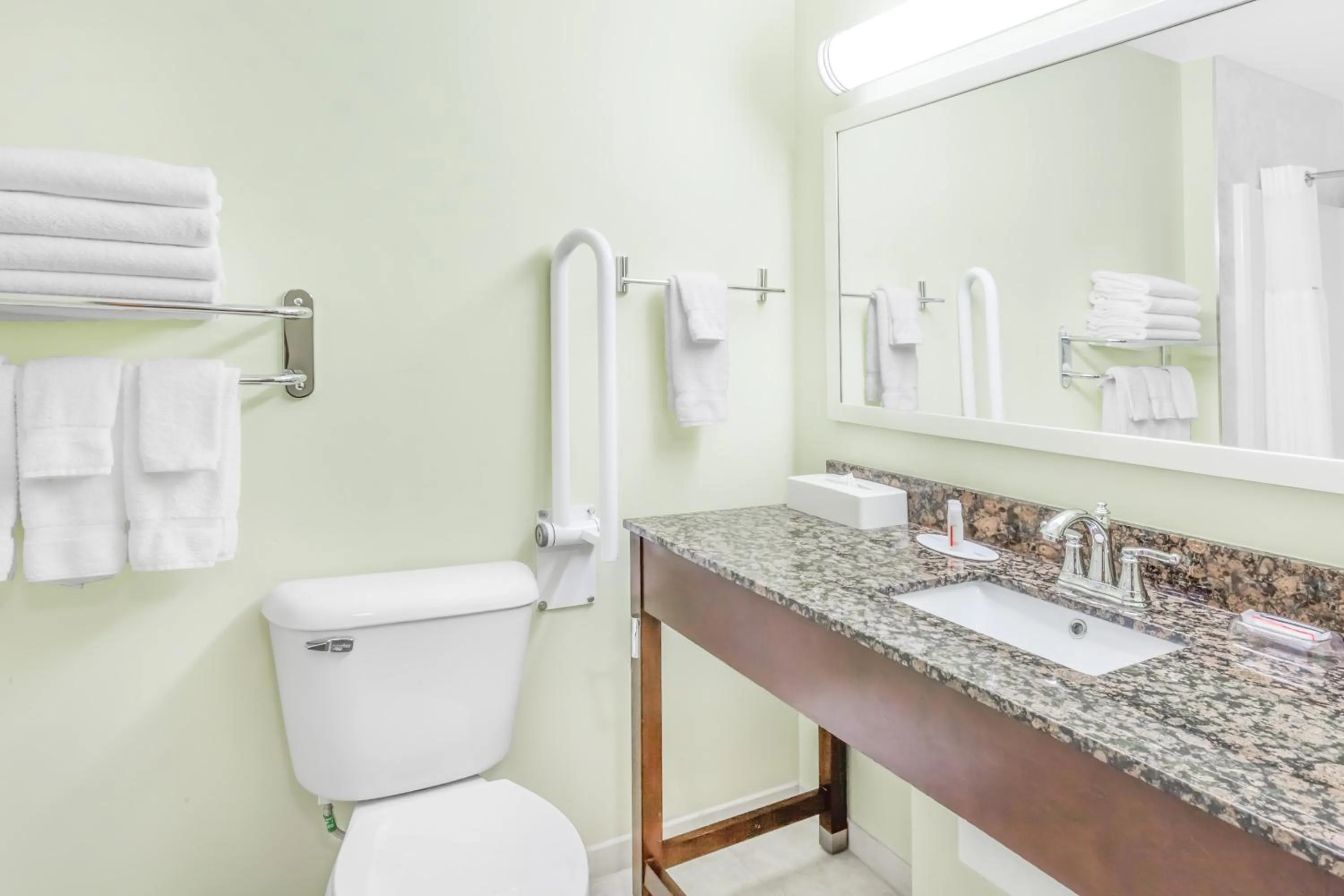 Toilet in Ramada by Wyndham Carlyle