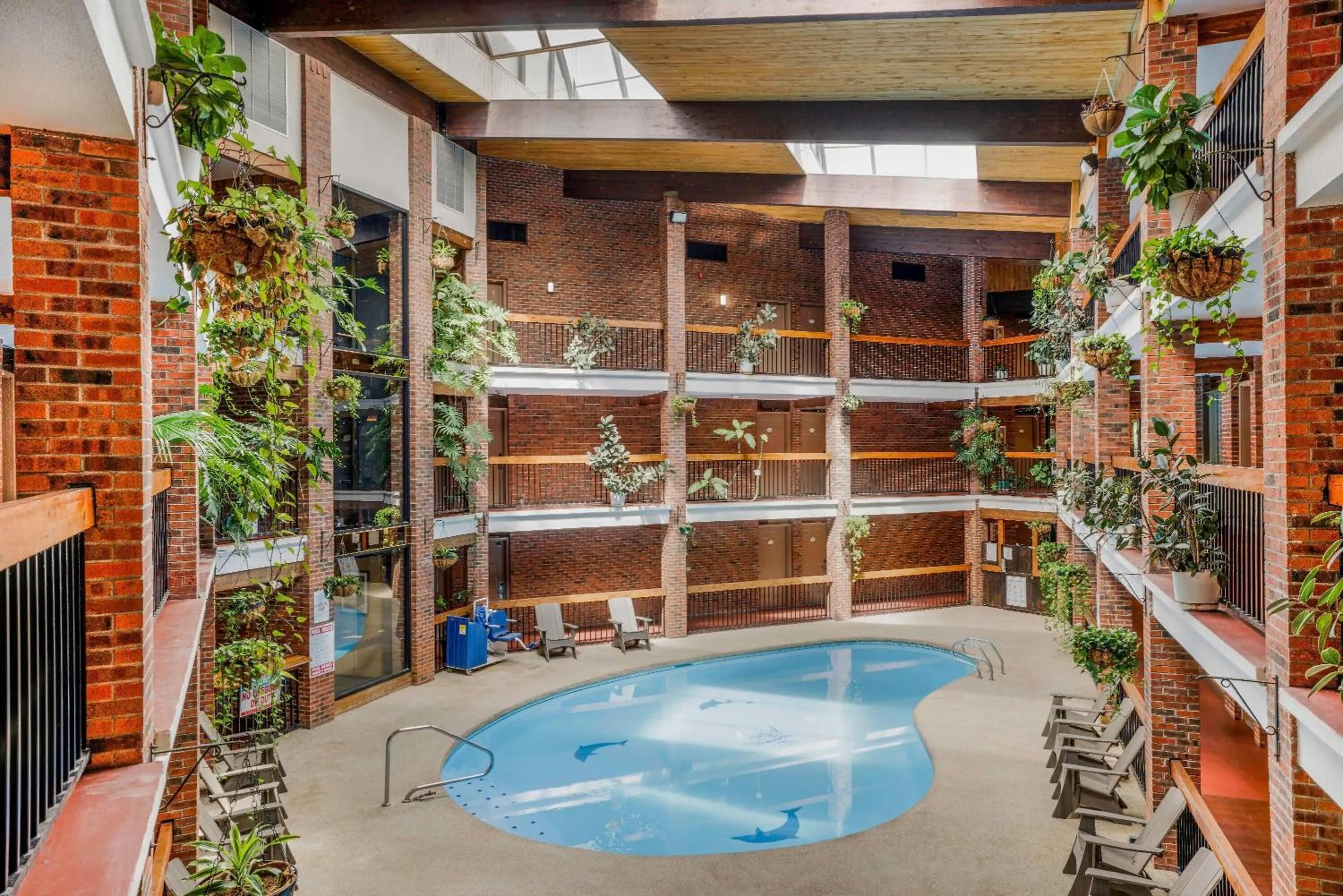 Swimming pool in Baymont by Wyndham Cortez