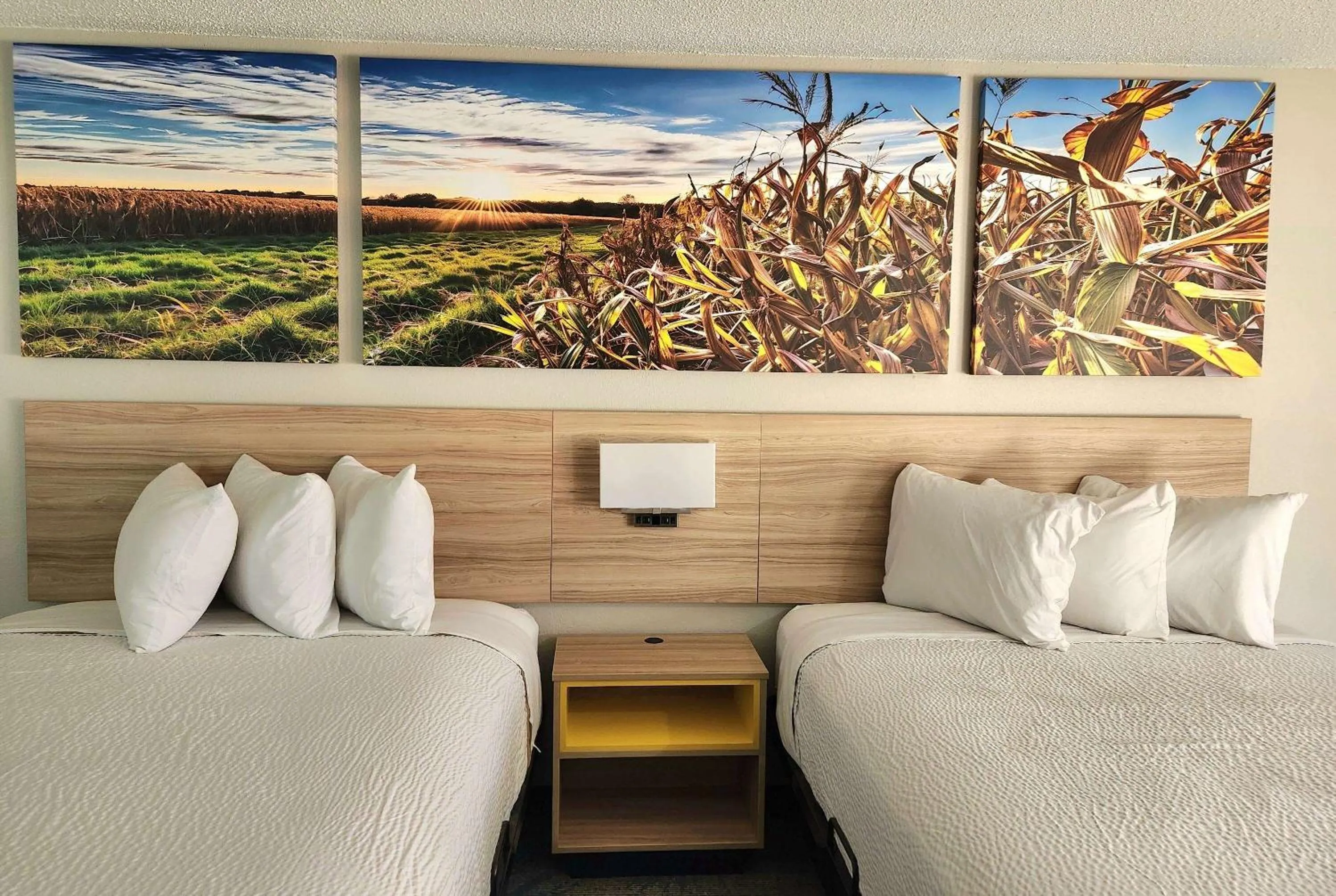 Photo of the whole room, Bed in Days Inn & Suites by Wyndham New Iberia