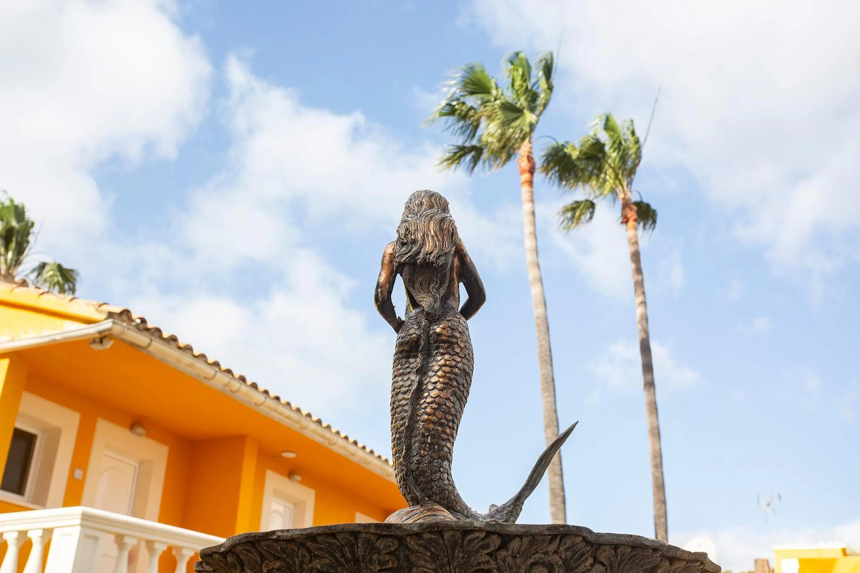 Day in Hotel Cupidor