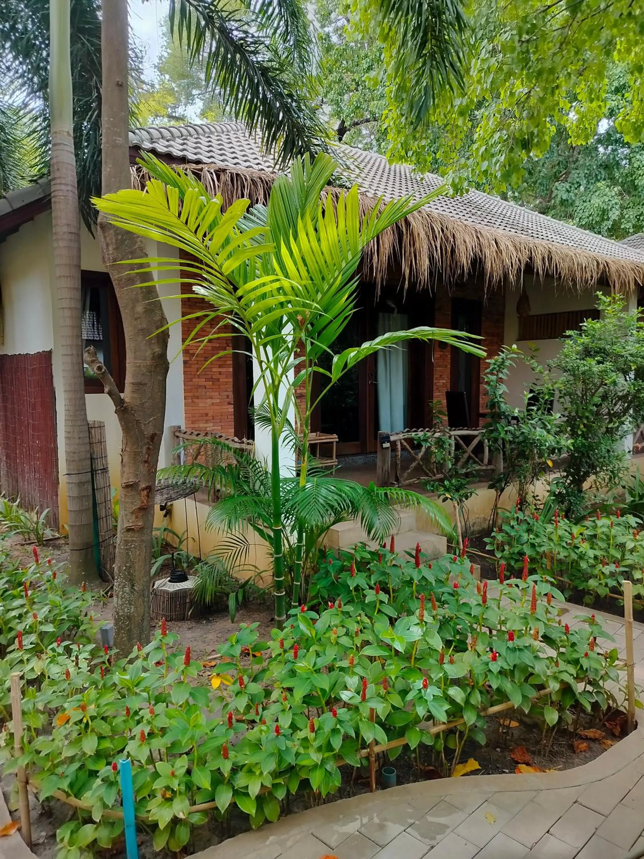 Garden in La Rivière d' Angkor Resort