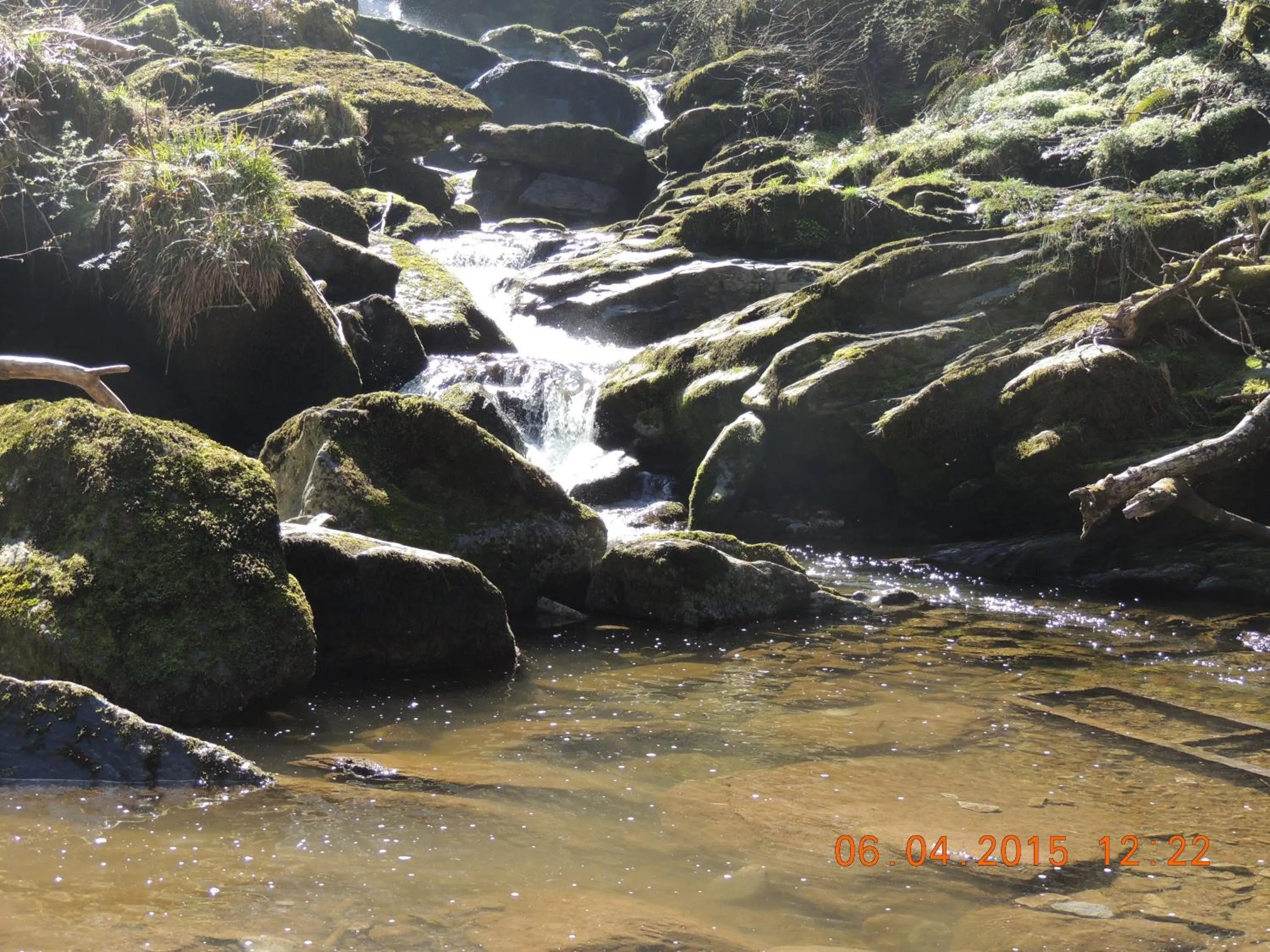 Natural landscape in Orchard House Hotel