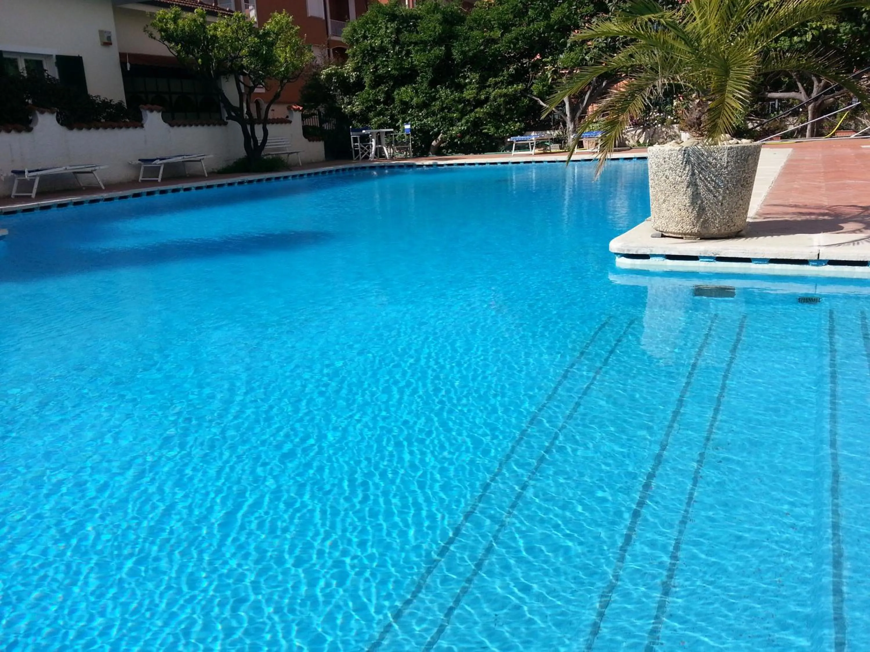 Garden in Hotel Splendid