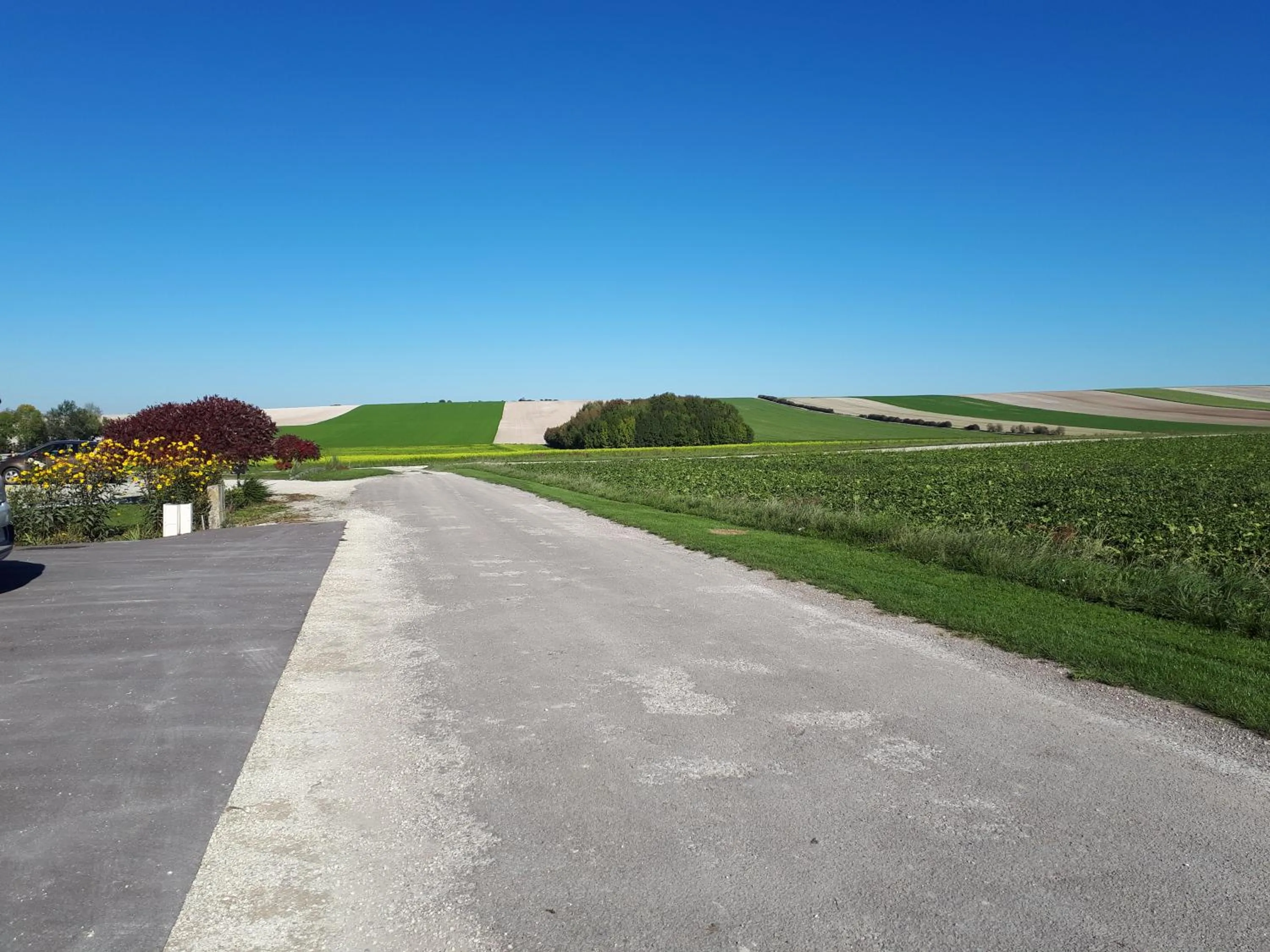 Autumn in Ome sweet home