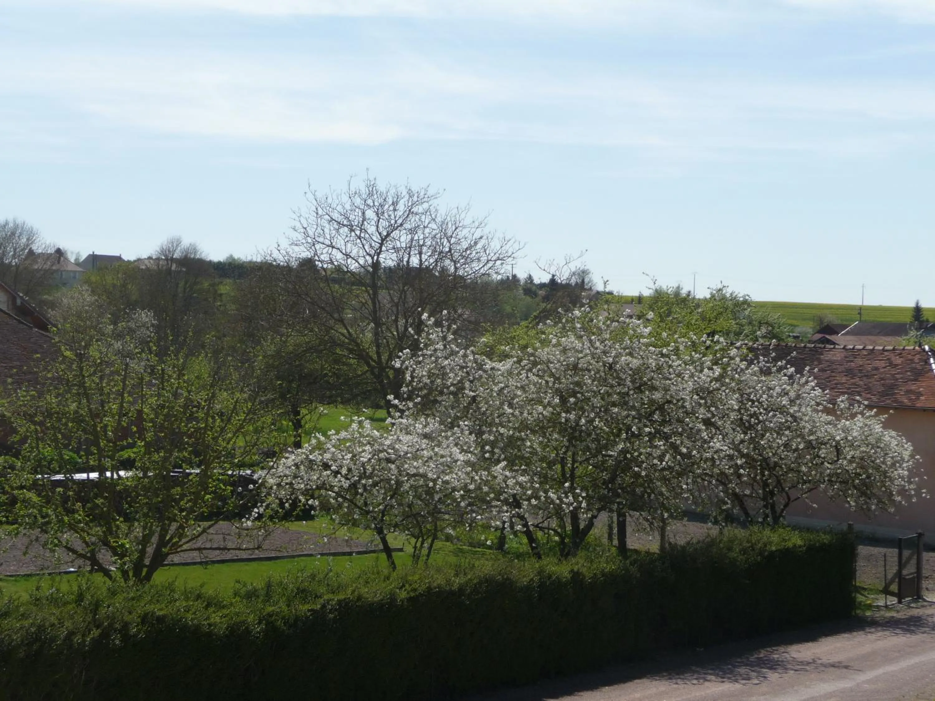Garden view in Ome sweet home