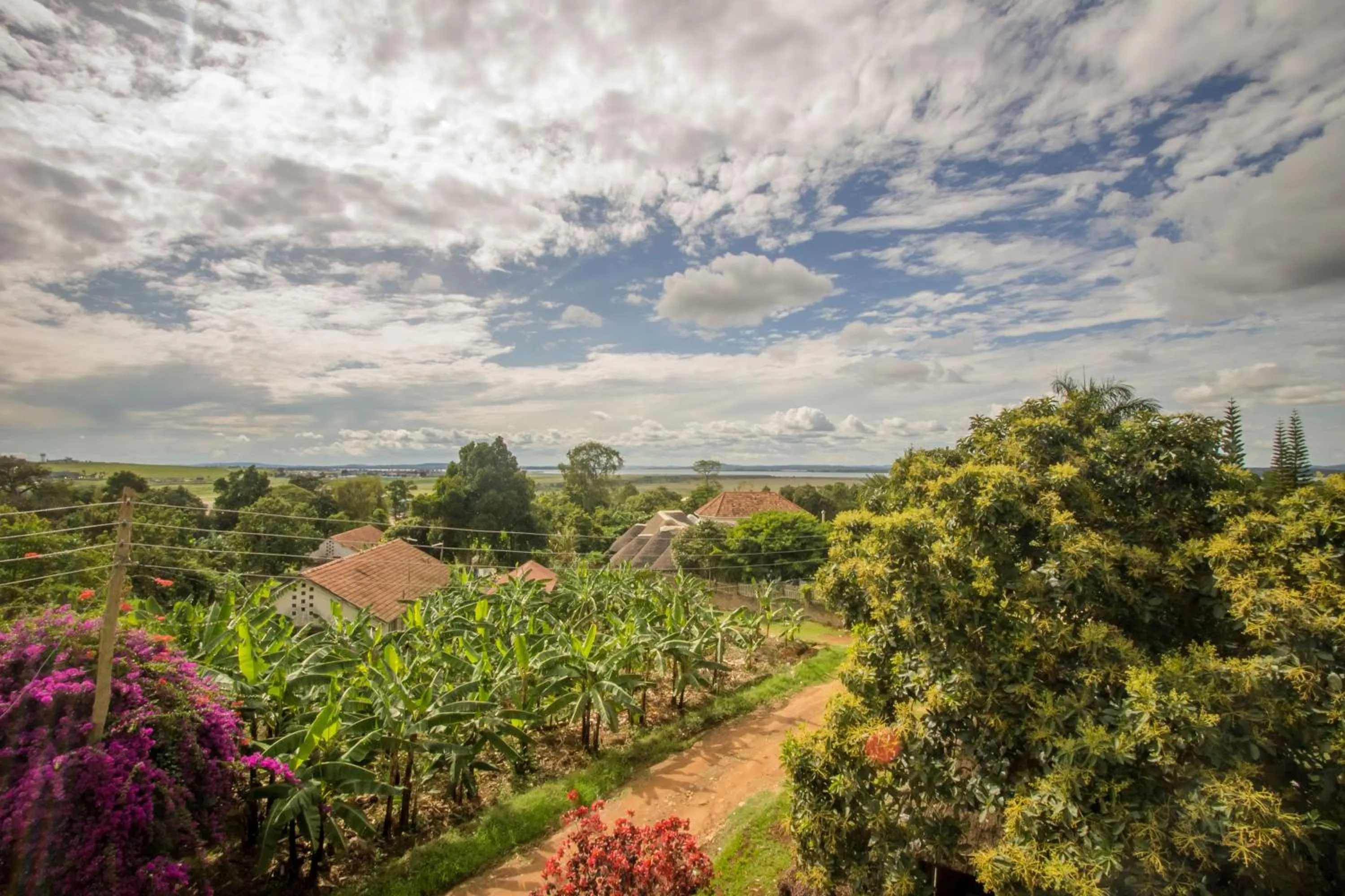 View (from property/room) in Askay Hotel Suites