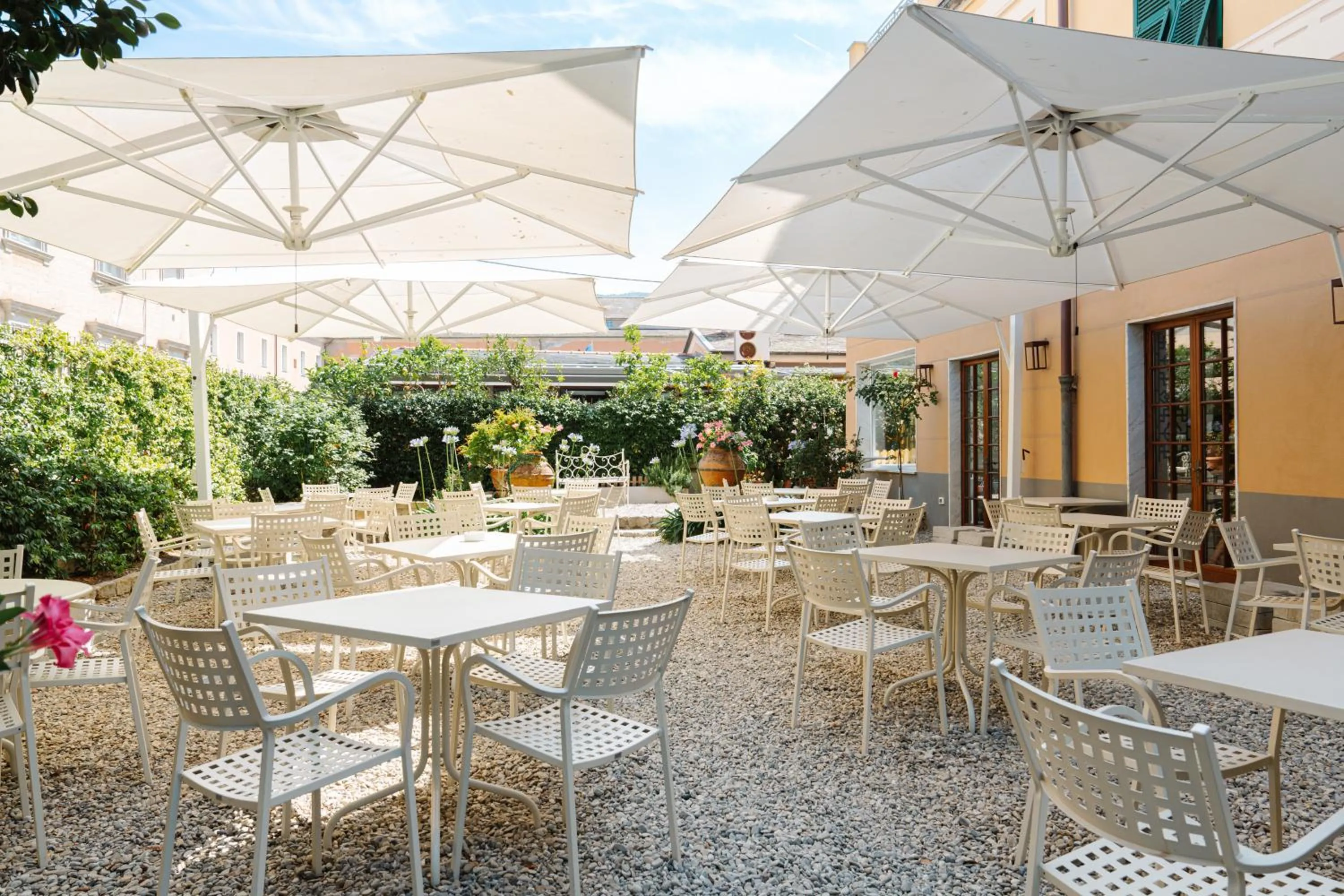 Garden in Hotel Nazionale