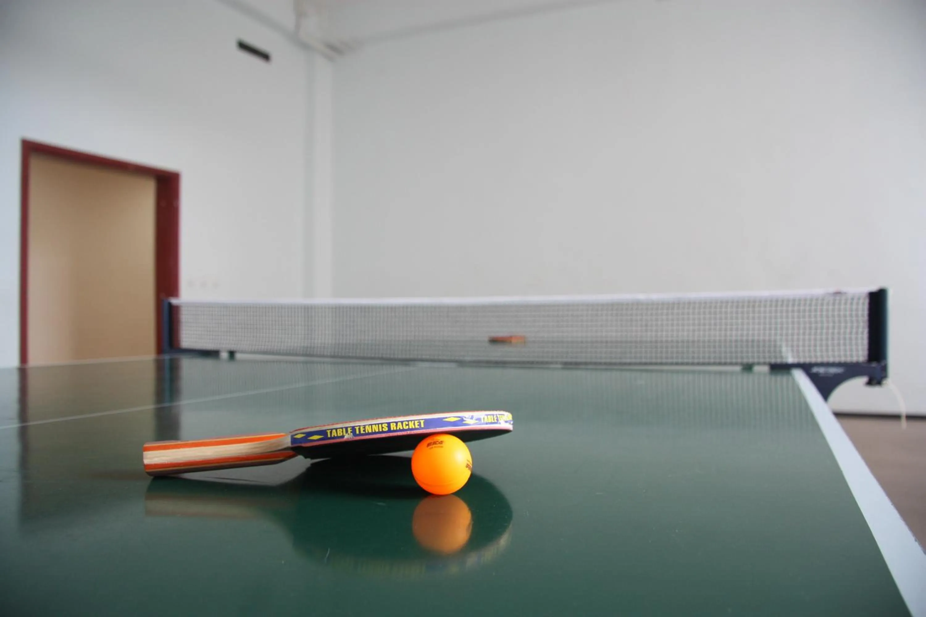 Table tennis in Cross Apartments and Tours