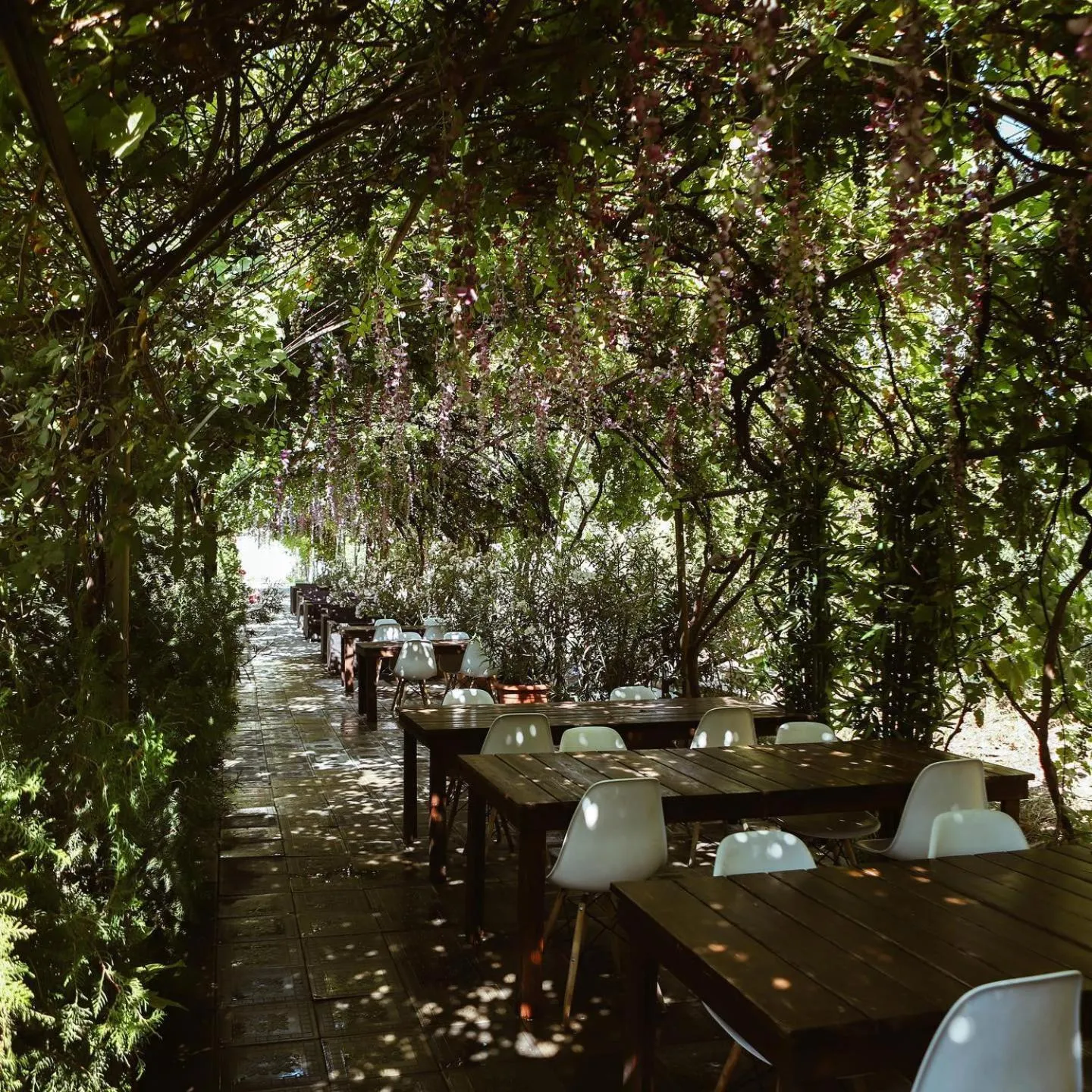 Swimming pool in Cross Apartments and Tours