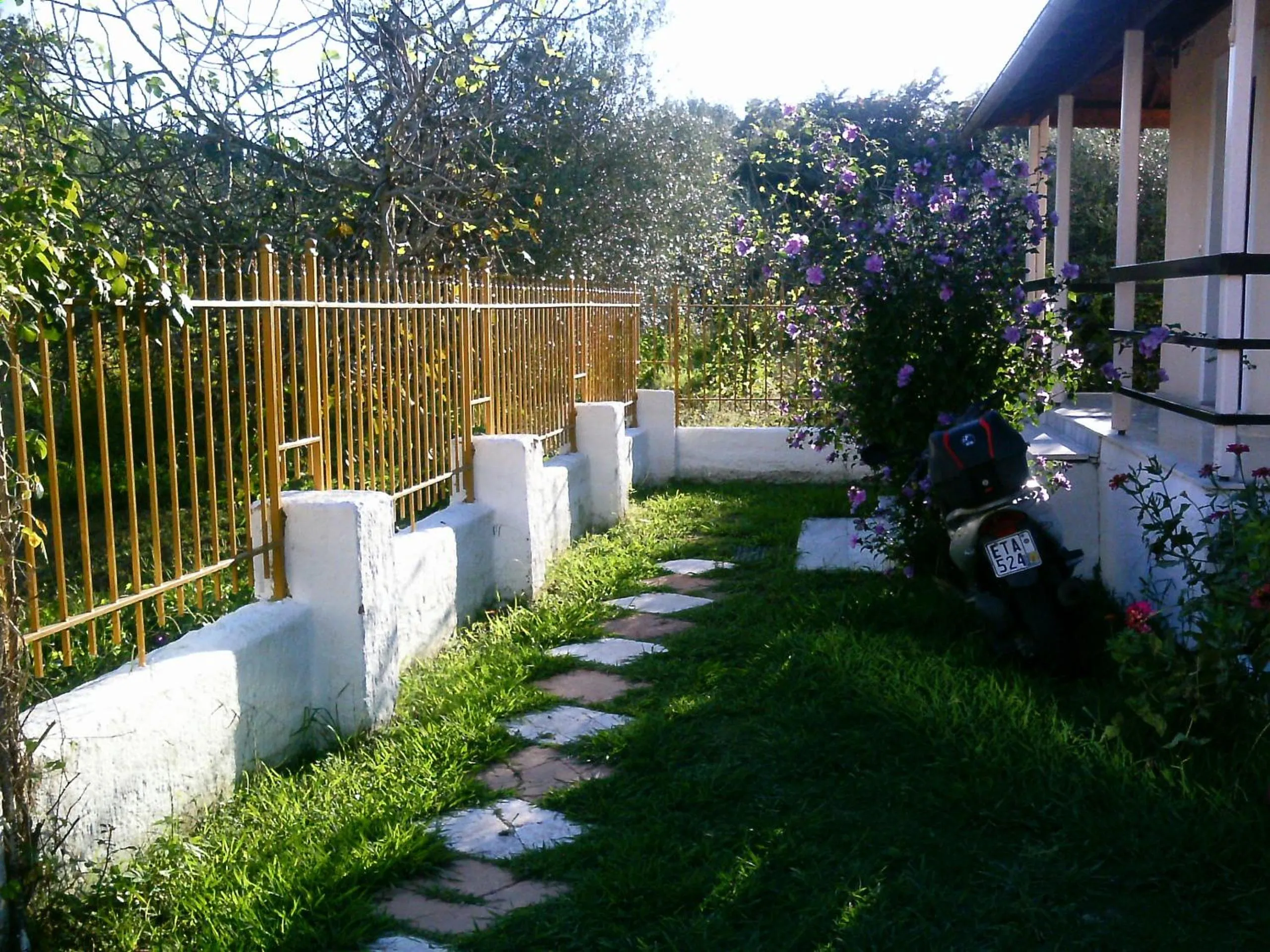 Garden in Georgina Apartments