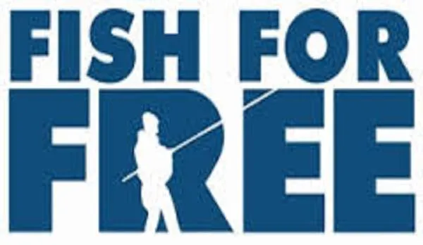 Text overlay in Georgina Apartments