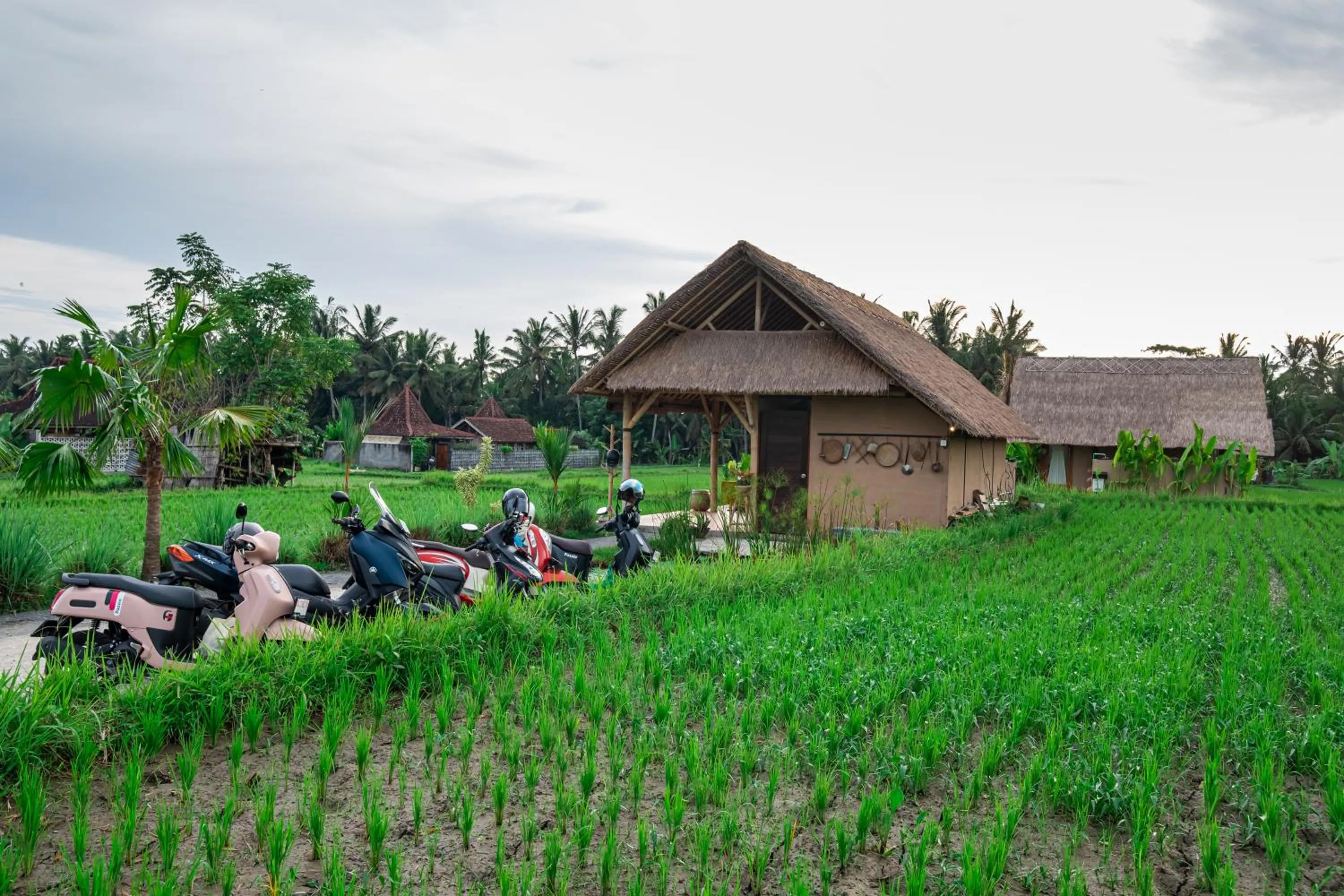 Property building in Pondok Mawas