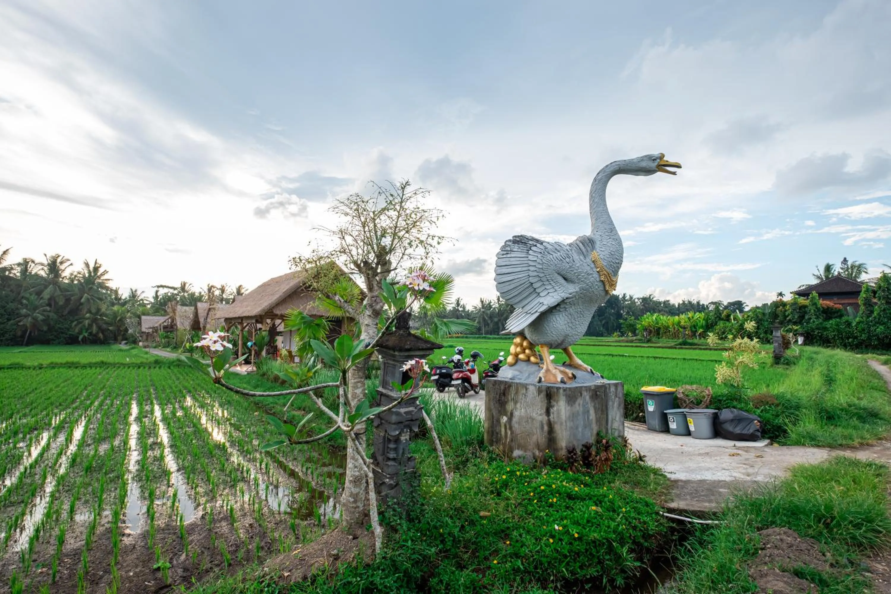 Nearby landmark in Pondok Mawas