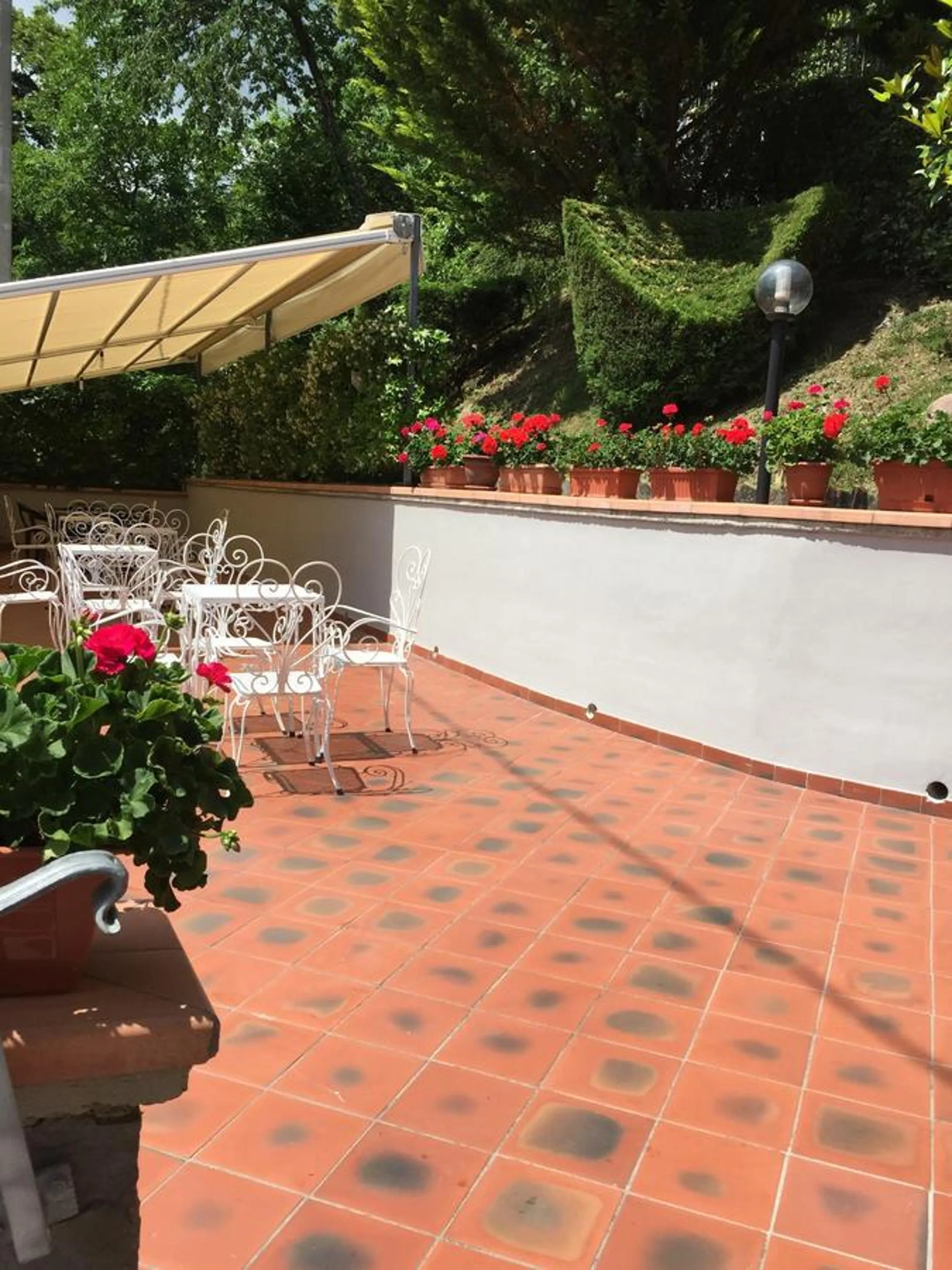 Garden in Albergo Elisa