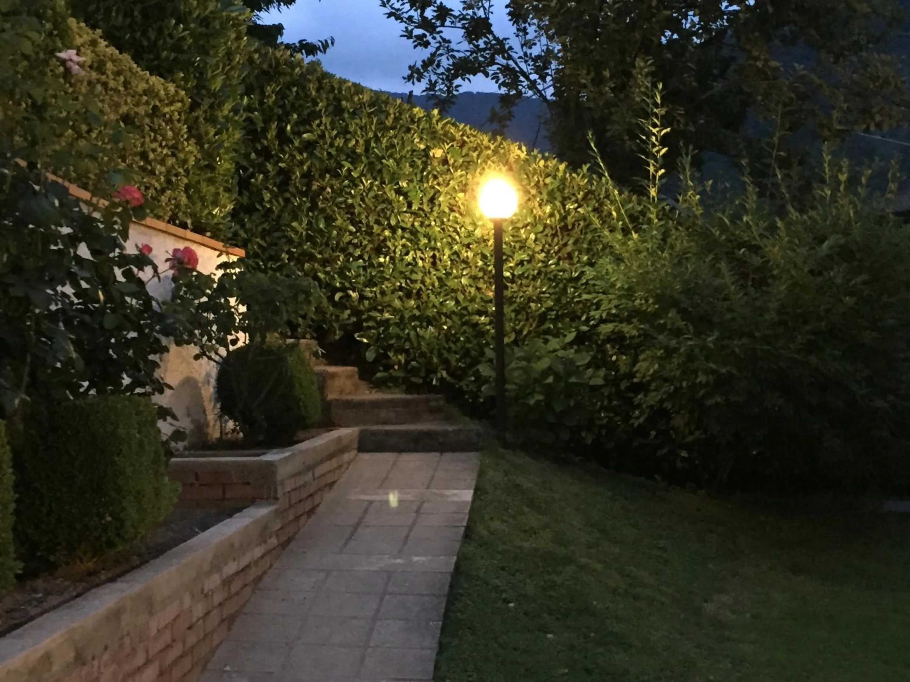 Garden in Albergo Elisa