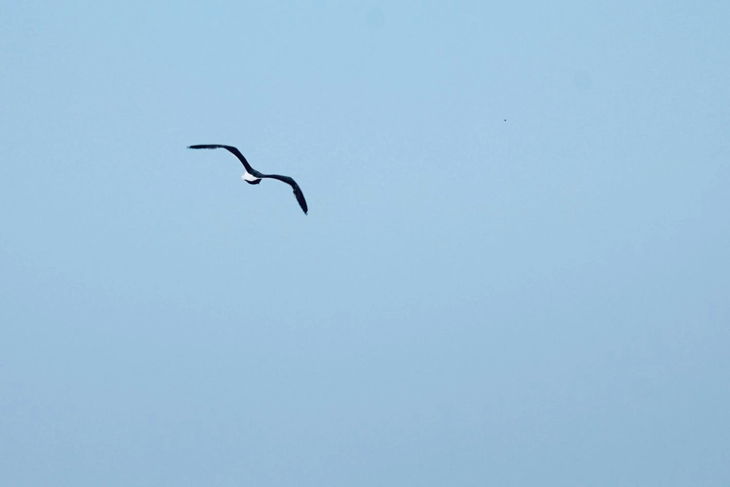 Day in Villa Domus 1938