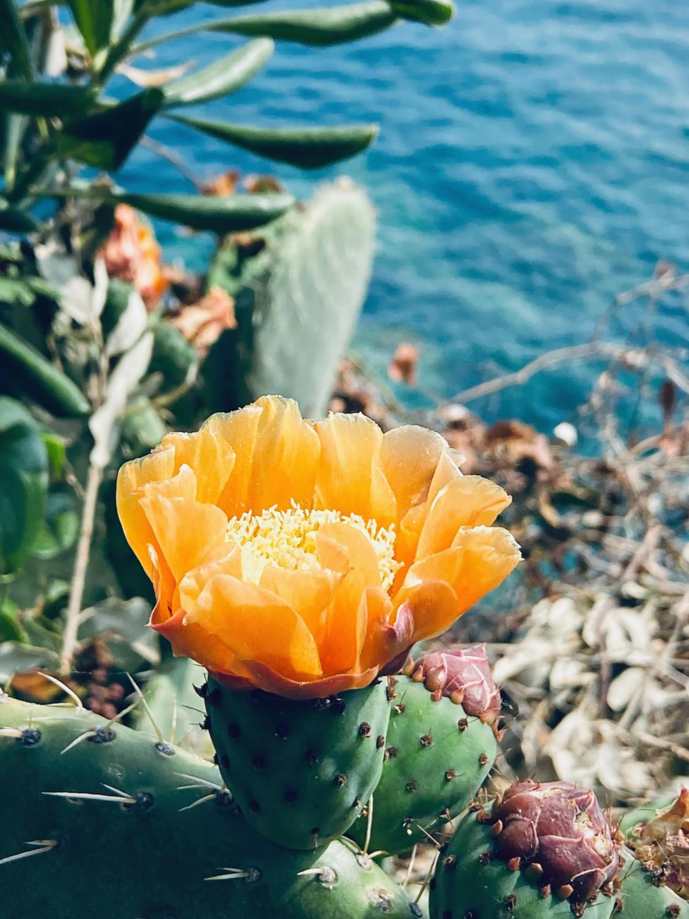 Day in Villa Domus 1938