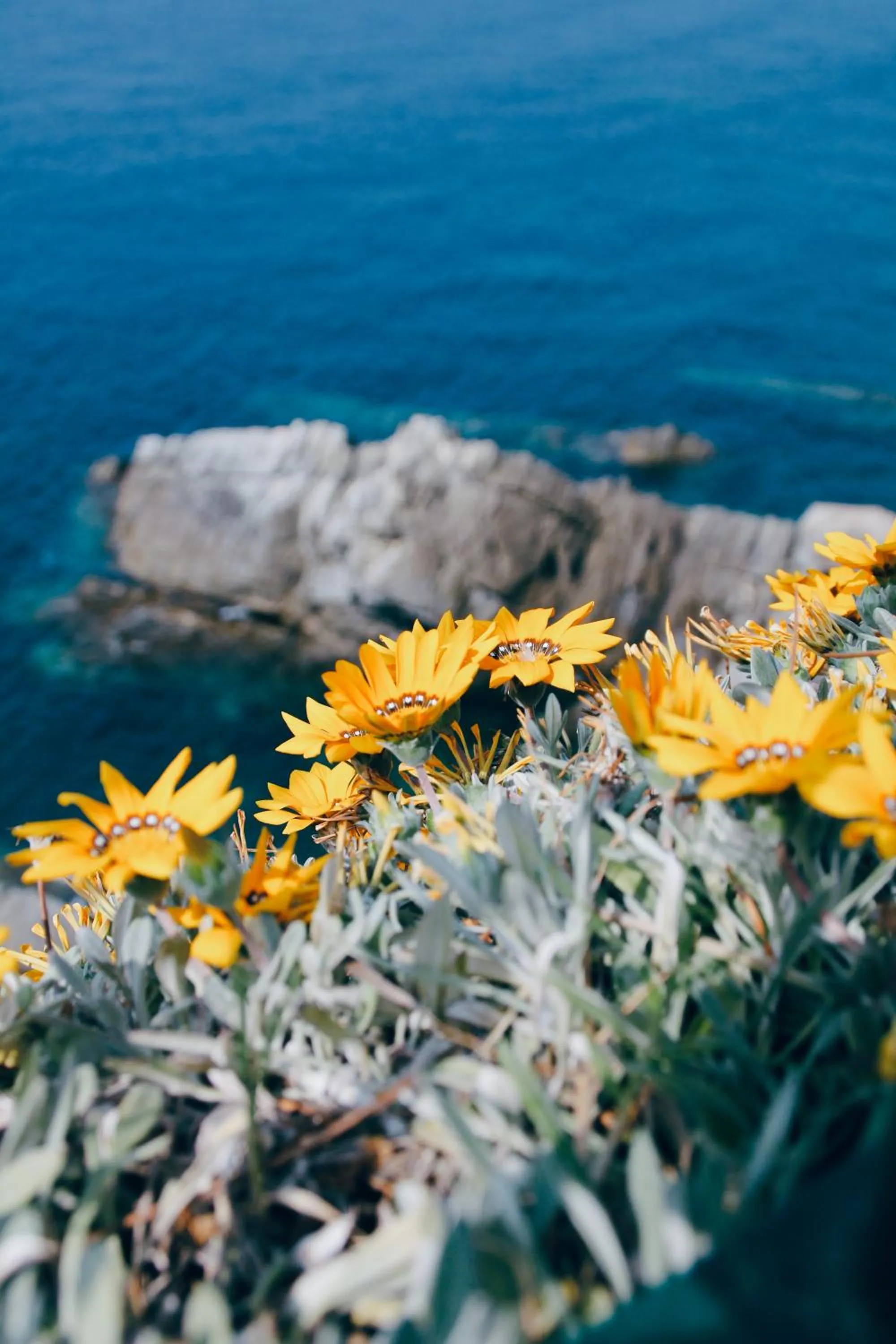 Day in Villa Domus 1938