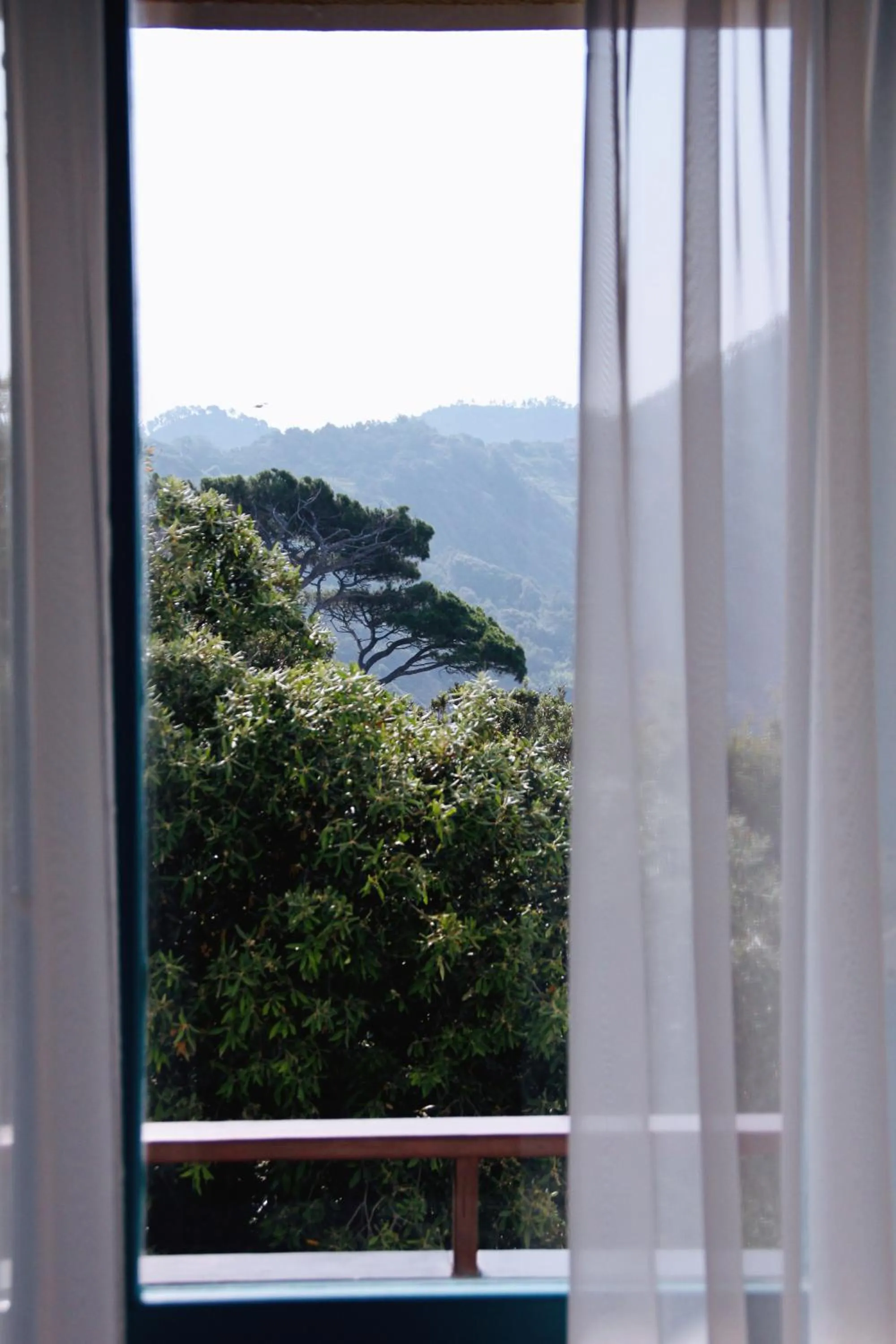 Day in Villa Domus 1938