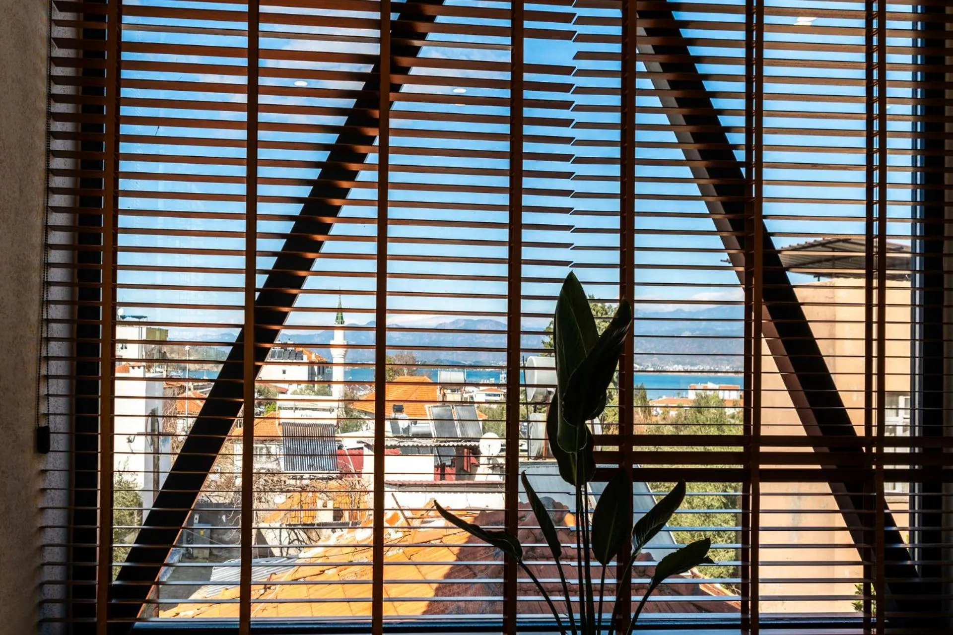 View (from property/room) in Uva Rooms