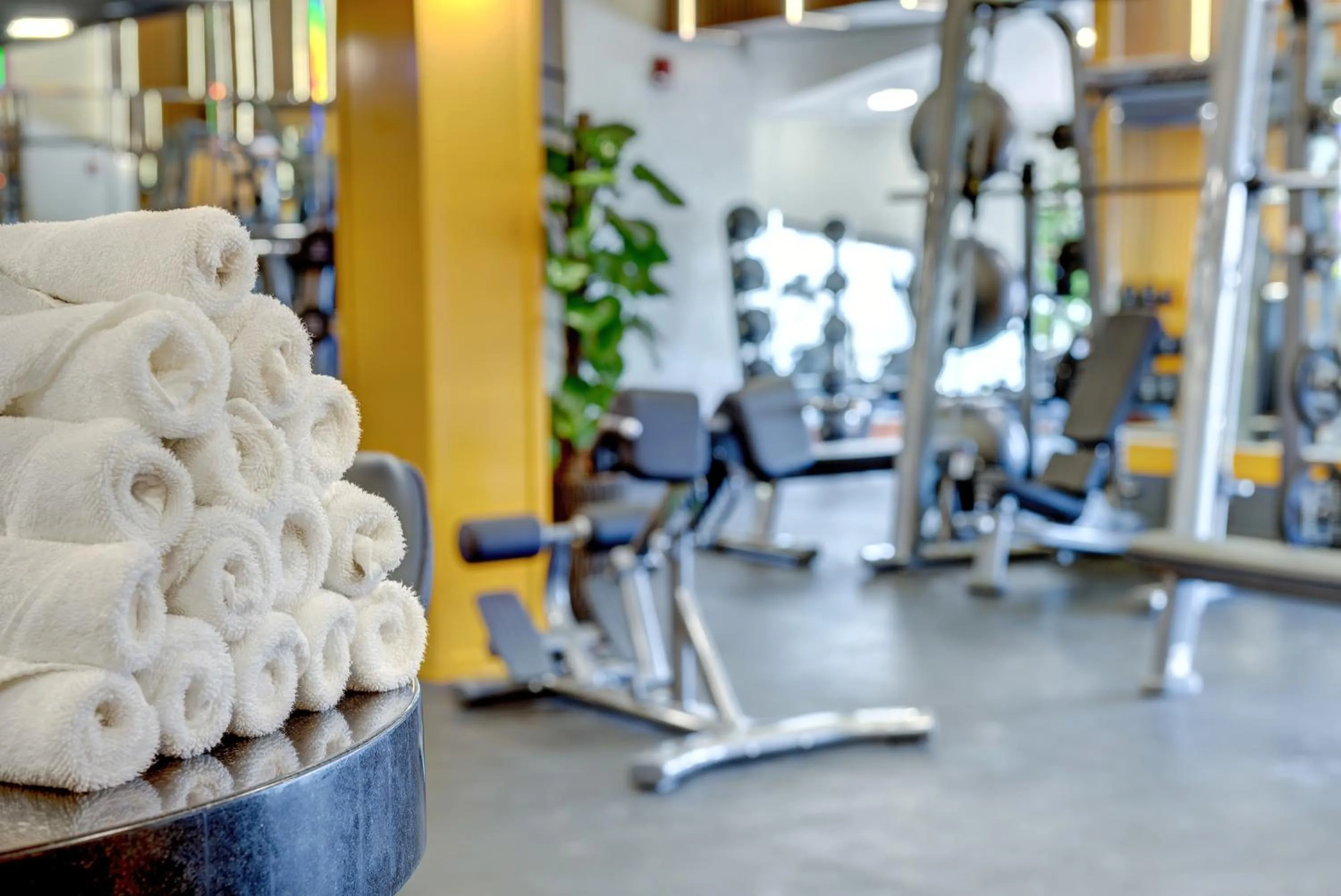 Fitness centre/facilities in Movenpick Hotel Centaurus Islamabad