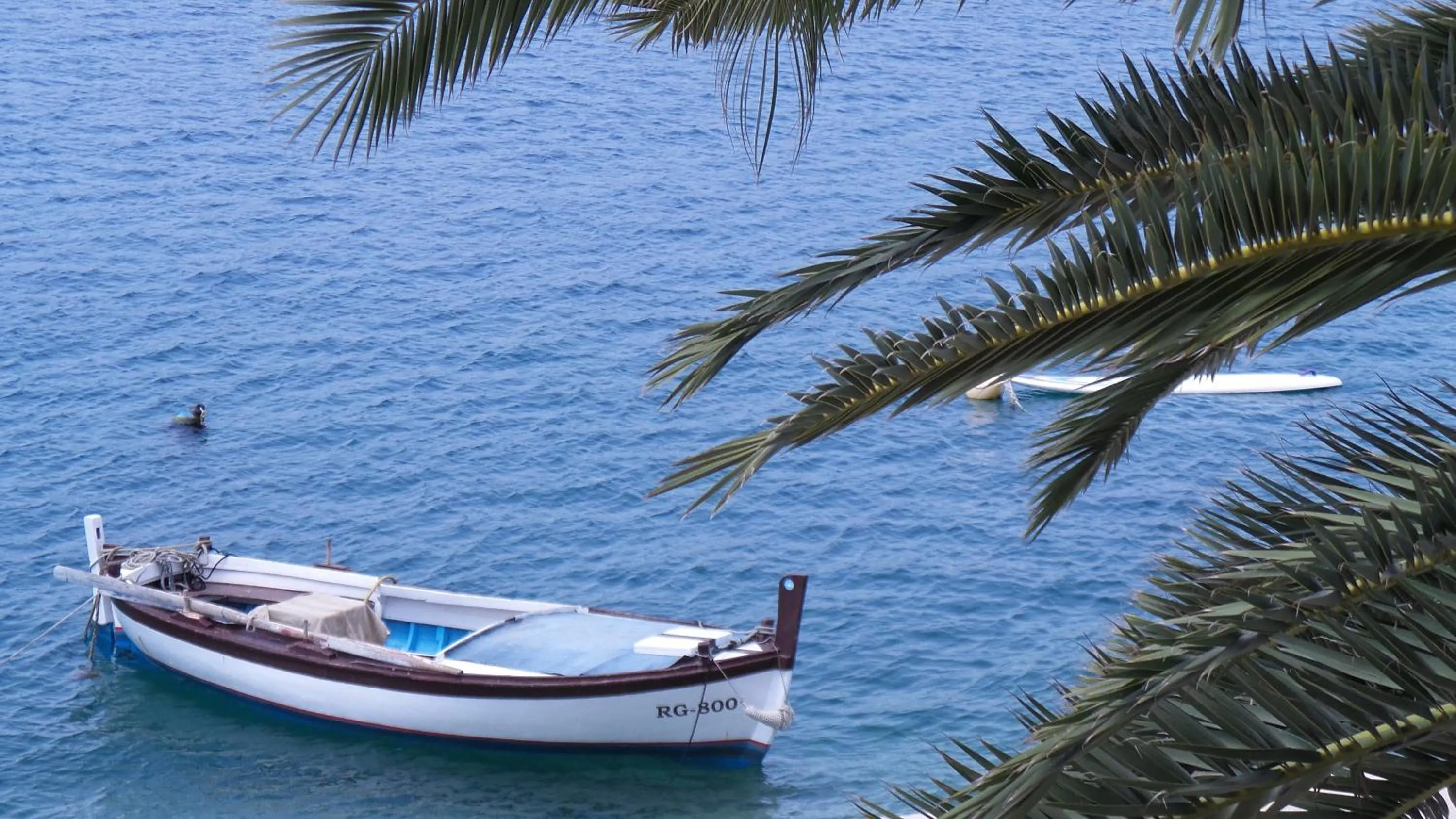 Sea view in Apartments Dvor