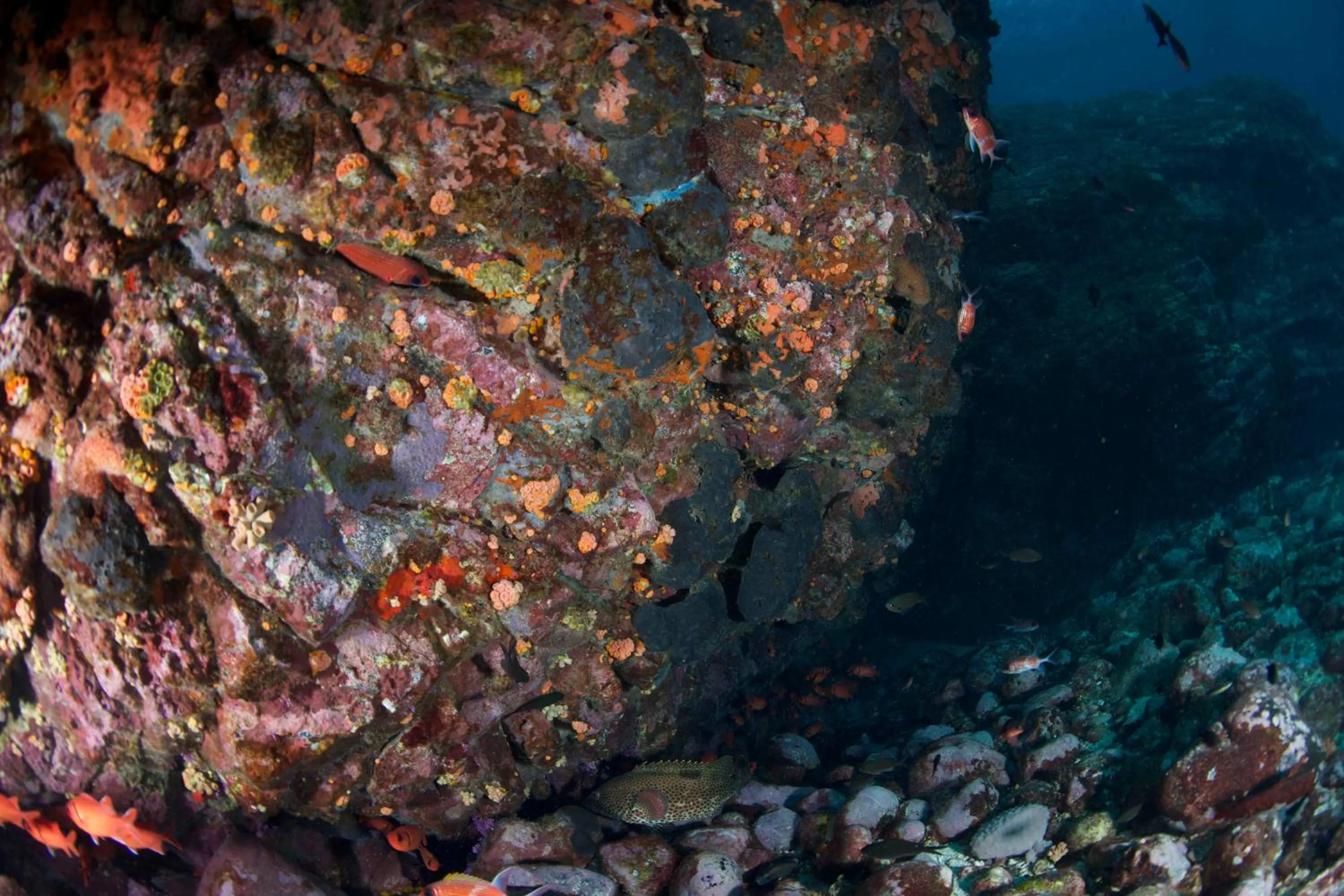 Natural landscape in Belo Monte Hotel and Museum