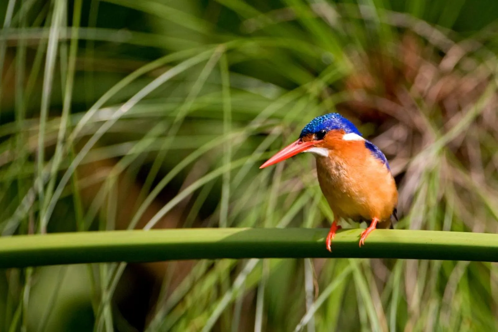 Natural landscape in Belo Monte Hotel and Museum