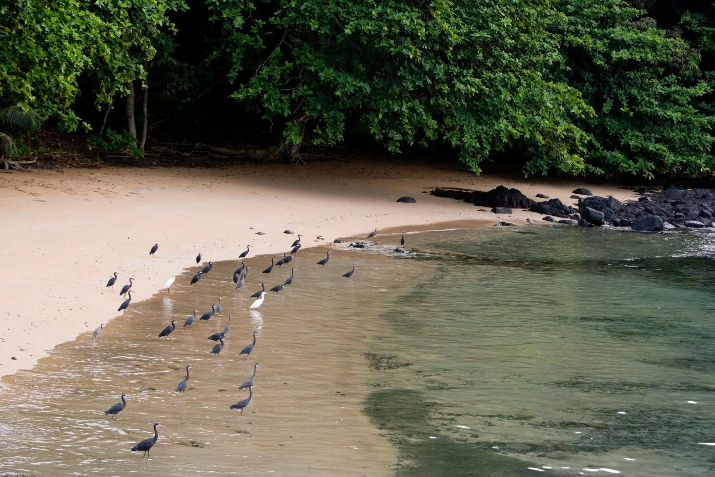 Beach in Belo Monte Hotel and Museum