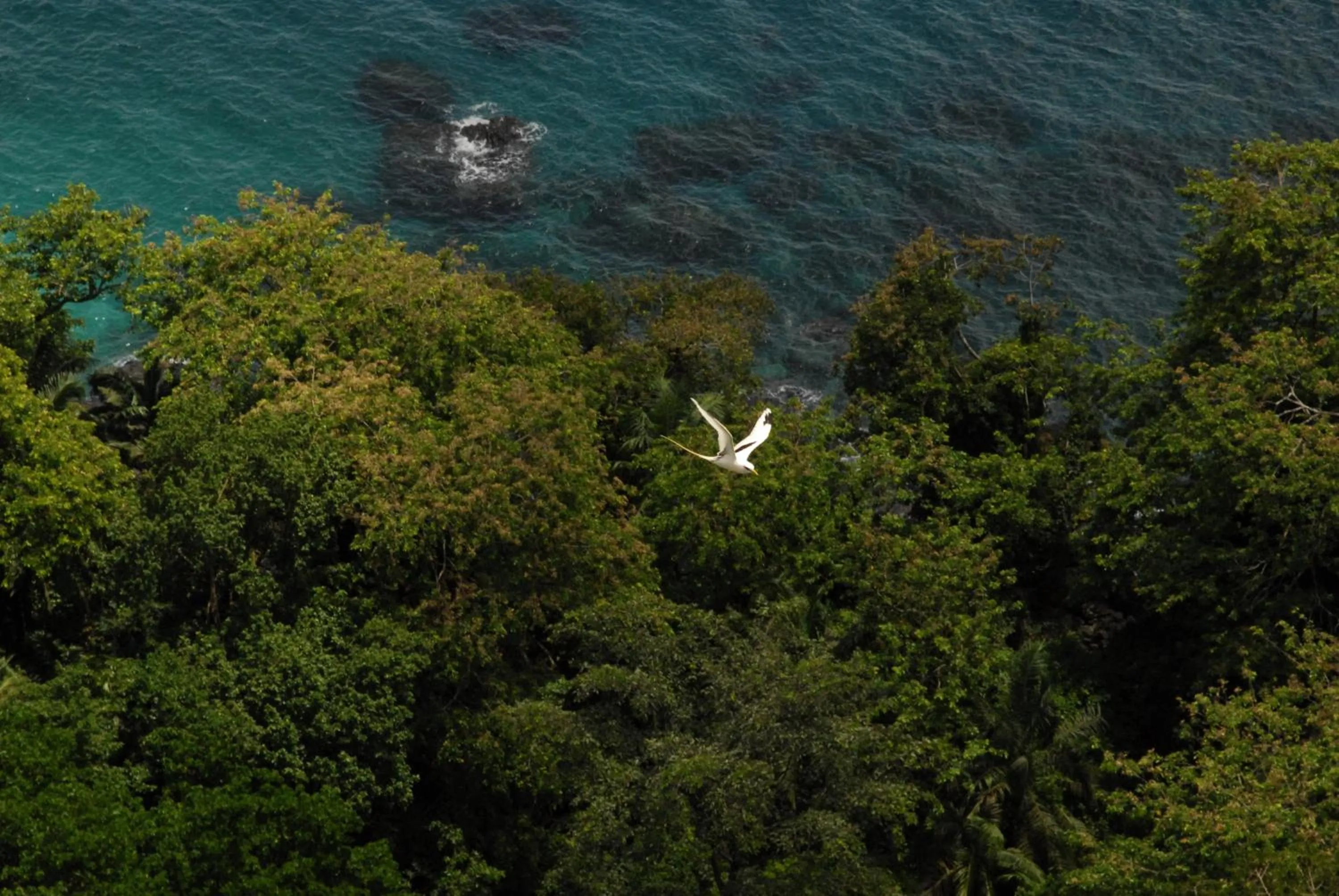 Animals in Belo Monte Hotel and Museum