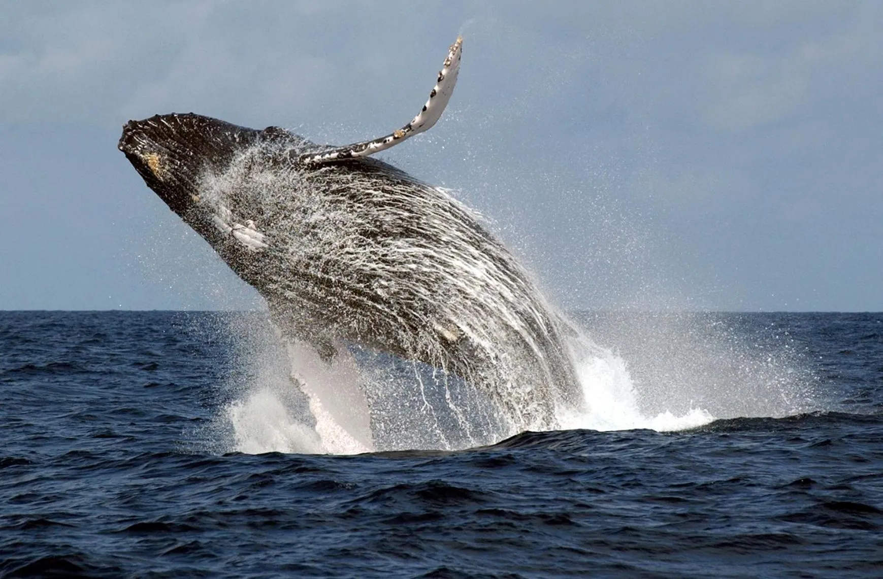 Activities in Belo Monte Hotel and Museum