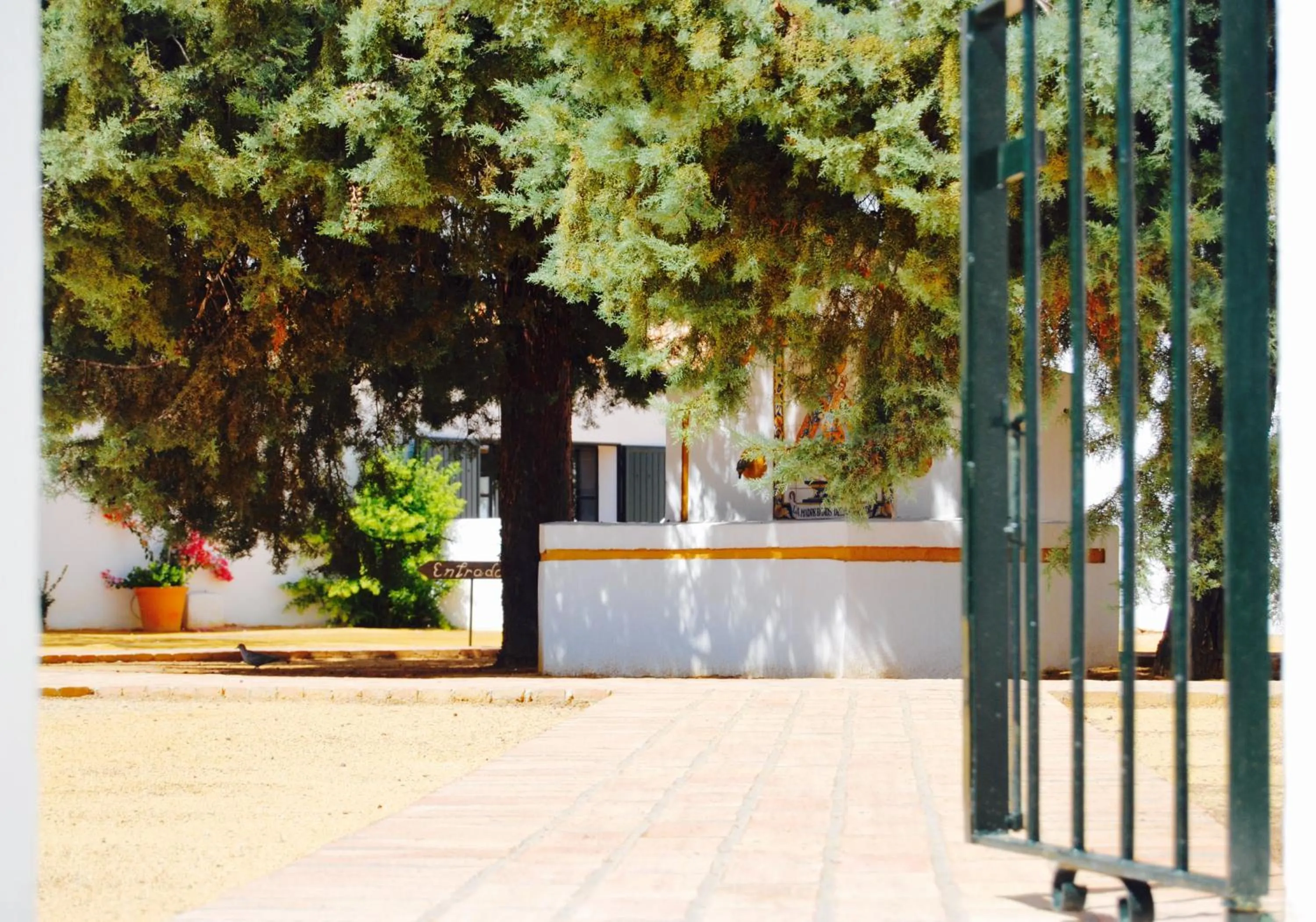 Patio in Cortijo de Vega Grande