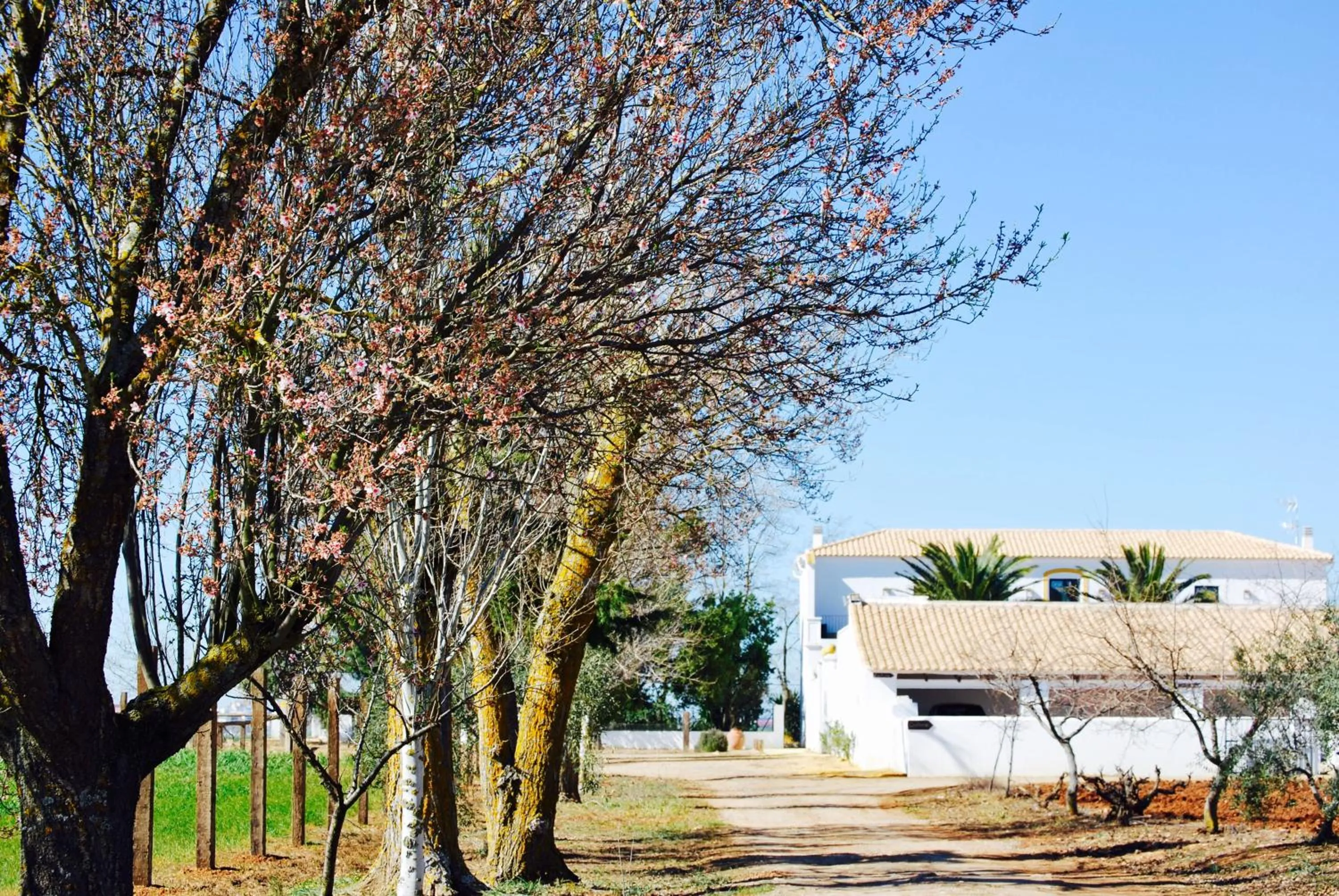 Facade/entrance in Cortijo de Vega Grande