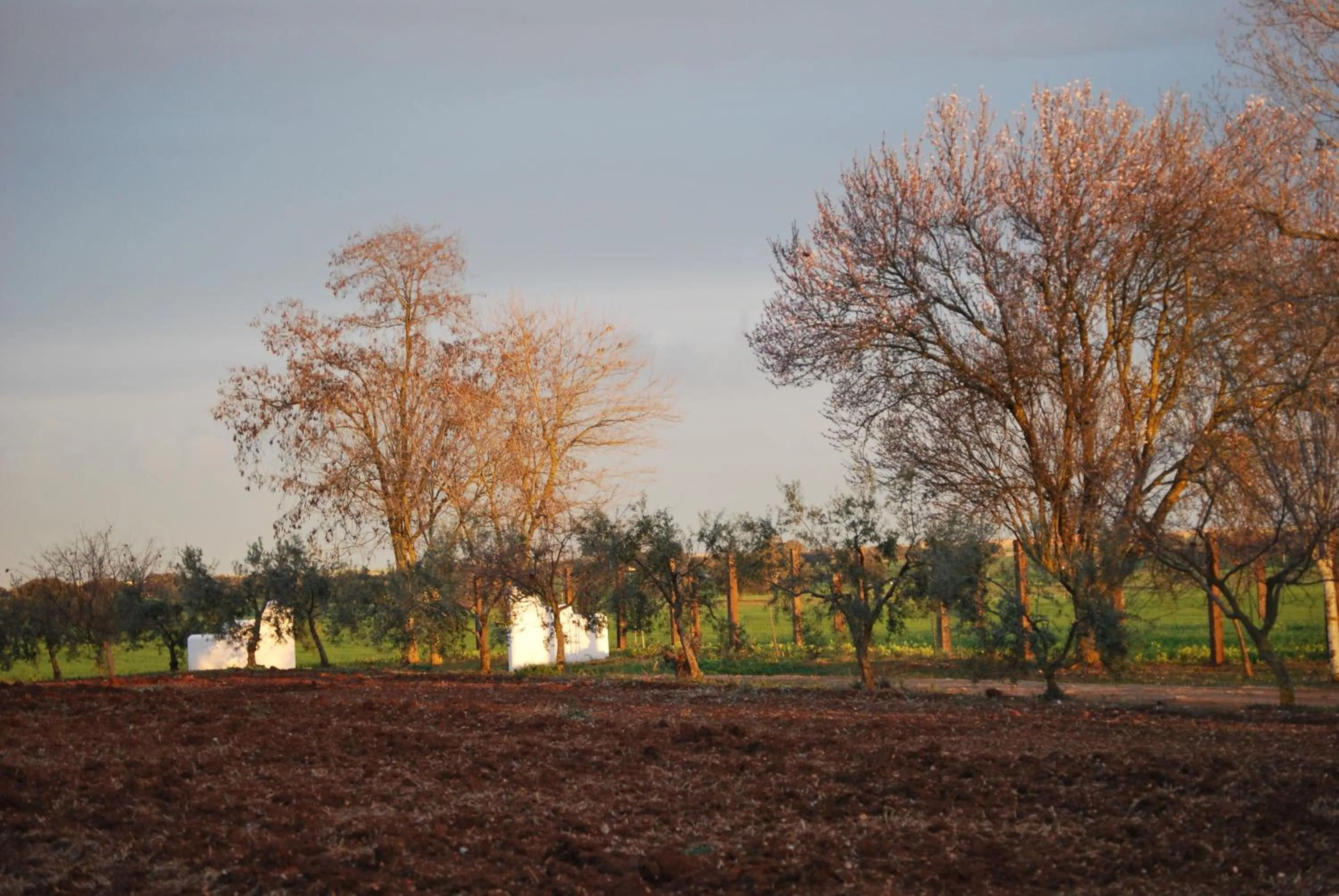 Facade/entrance in Cortijo de Vega Grande