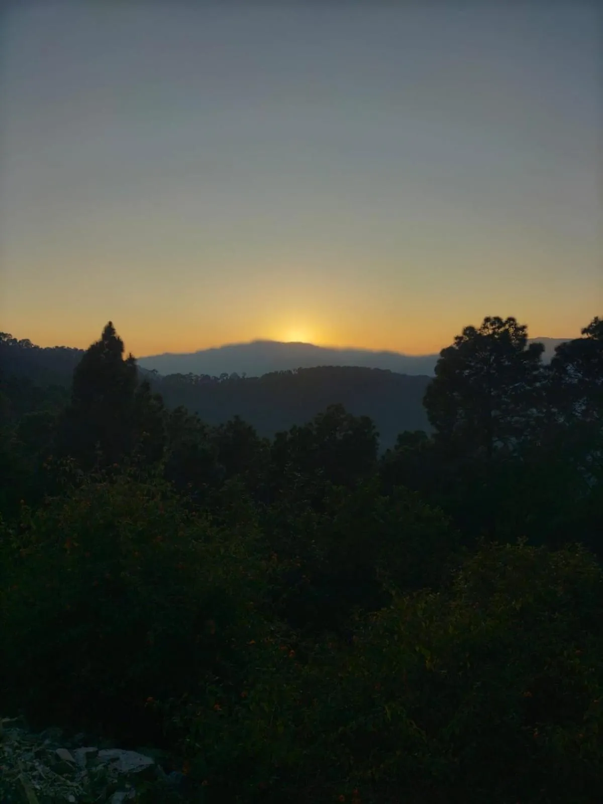 Natural landscape in Anupraas Resort