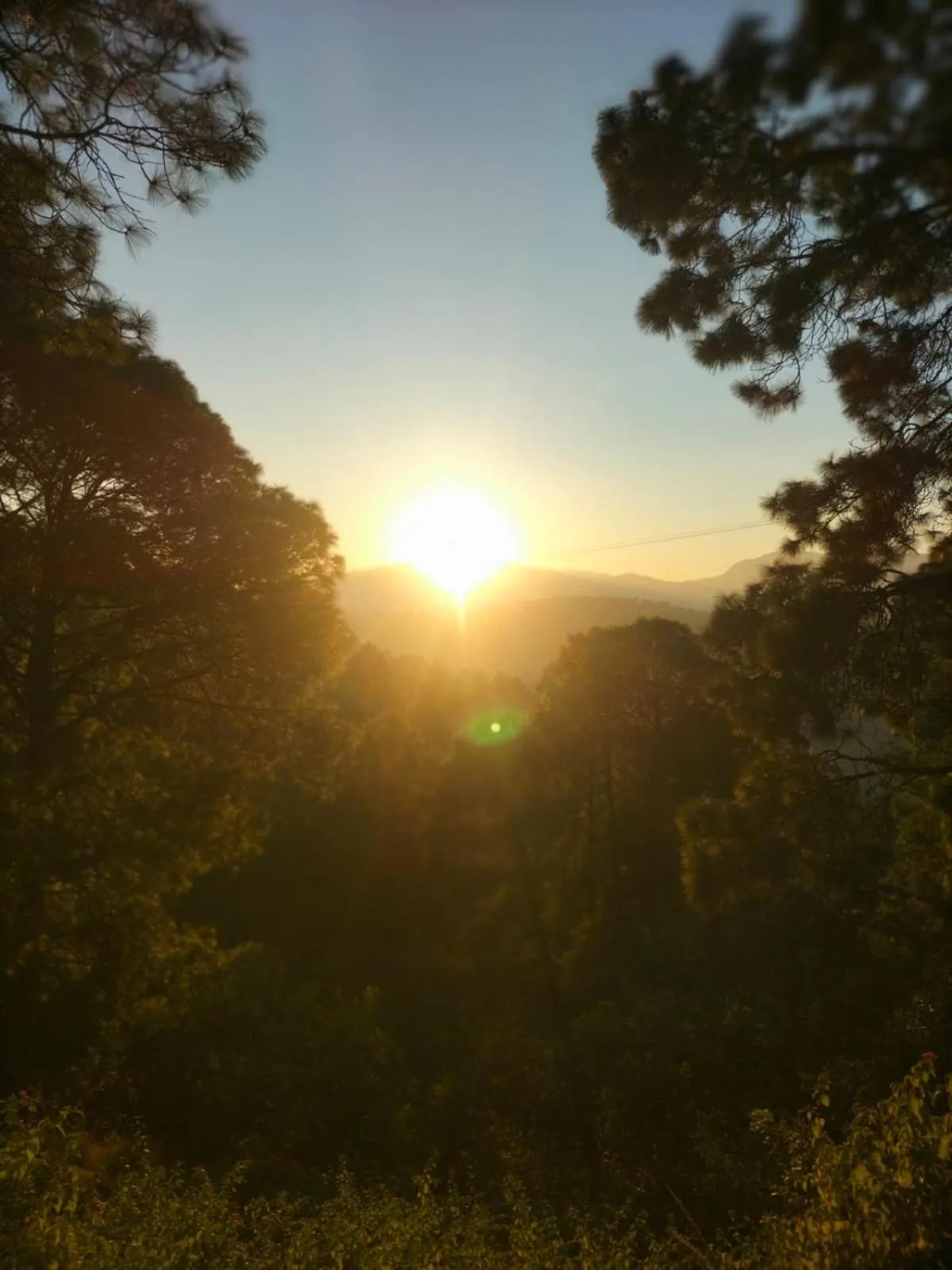 Natural landscape in Anupraas Resort