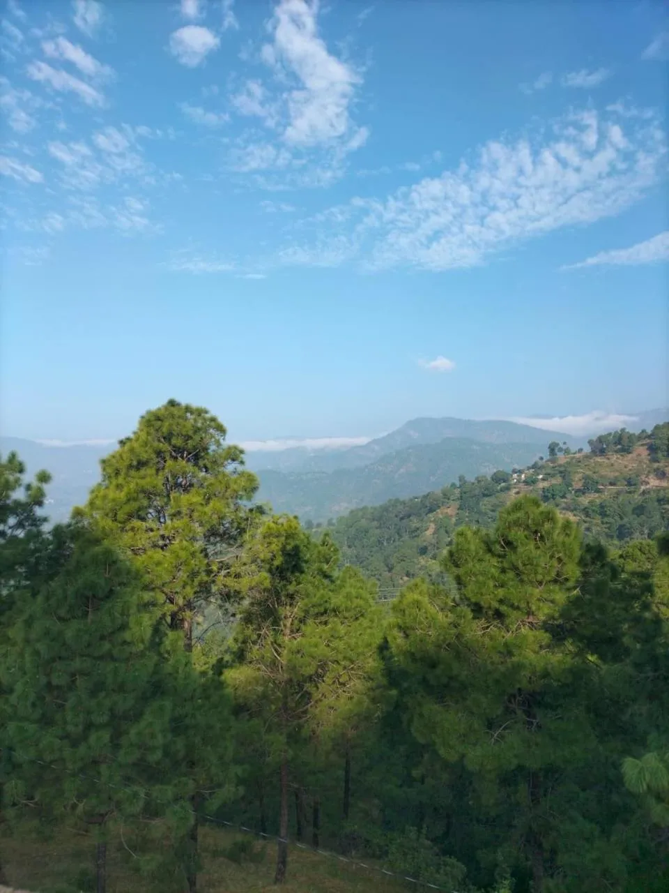 Natural landscape in Anupraas Resort