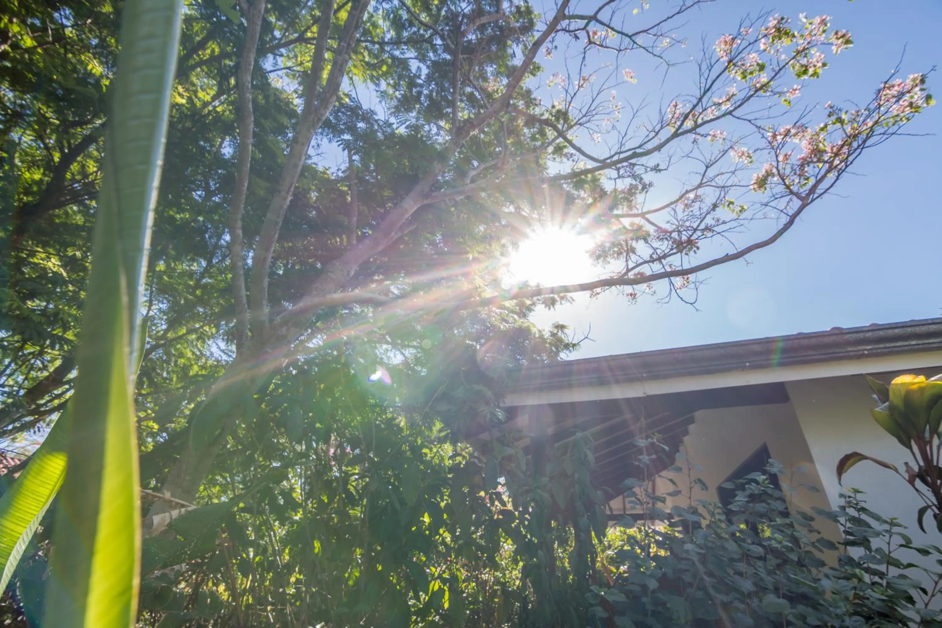 Area and facilities in Hotel Colinas del Sol